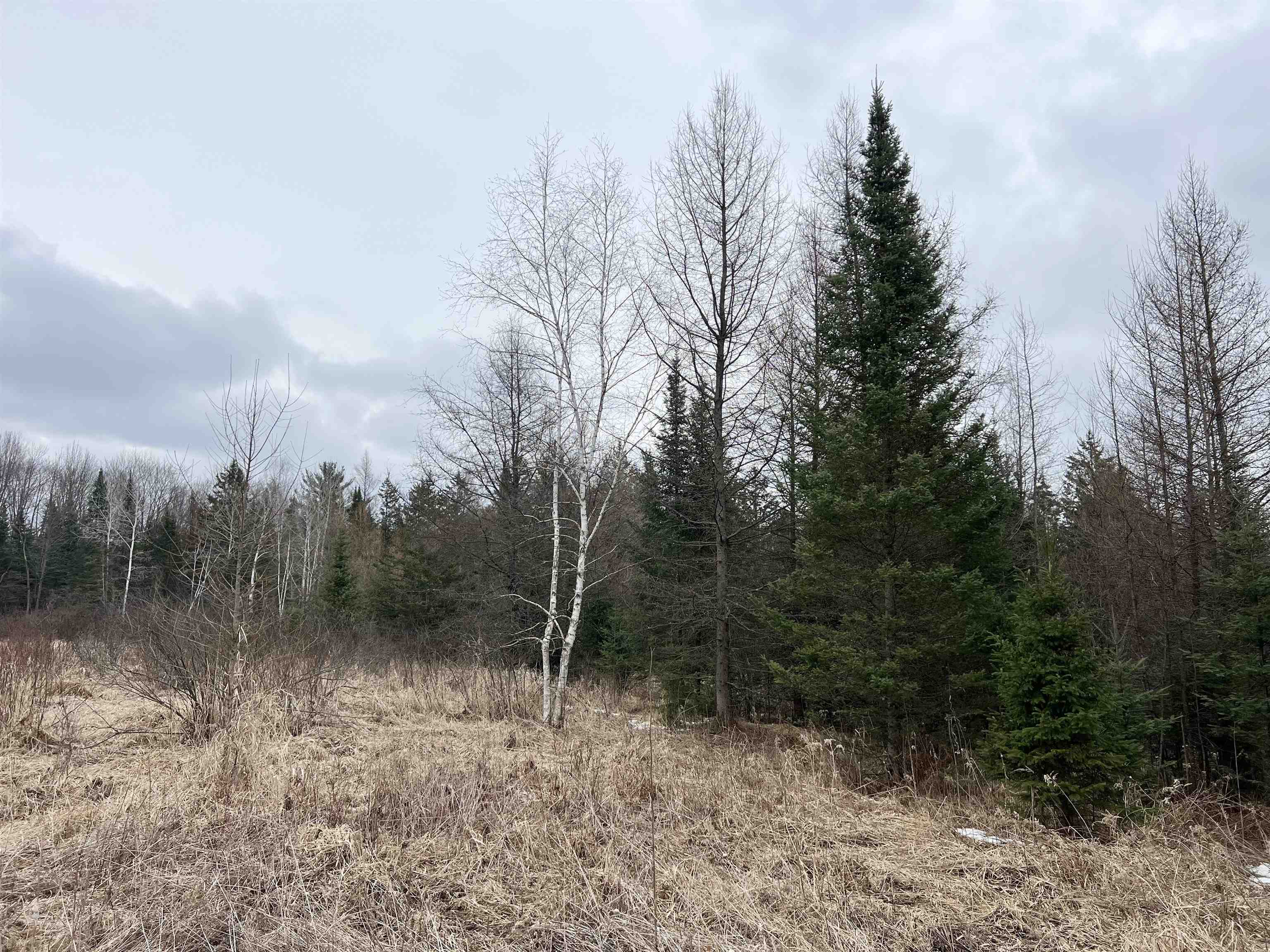 00 COUNTY ROAD J, Wausau, Wisconsin 54403, ,Land,For Sale,00 COUNTY ROAD J,22502255