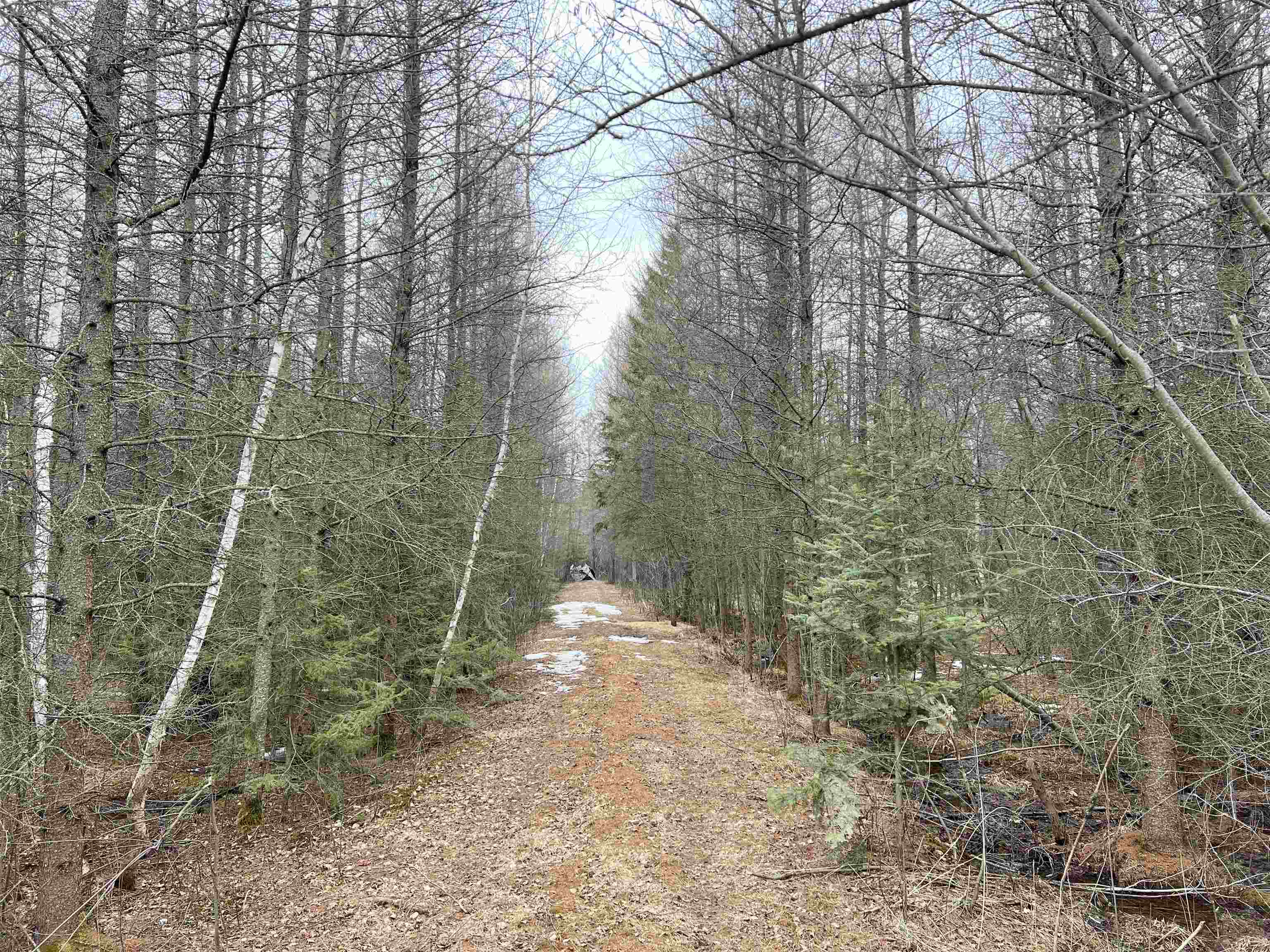 00 COUNTY ROAD J, Wausau, Wisconsin 54403, ,Land,For Sale,00 COUNTY ROAD J,22502255
