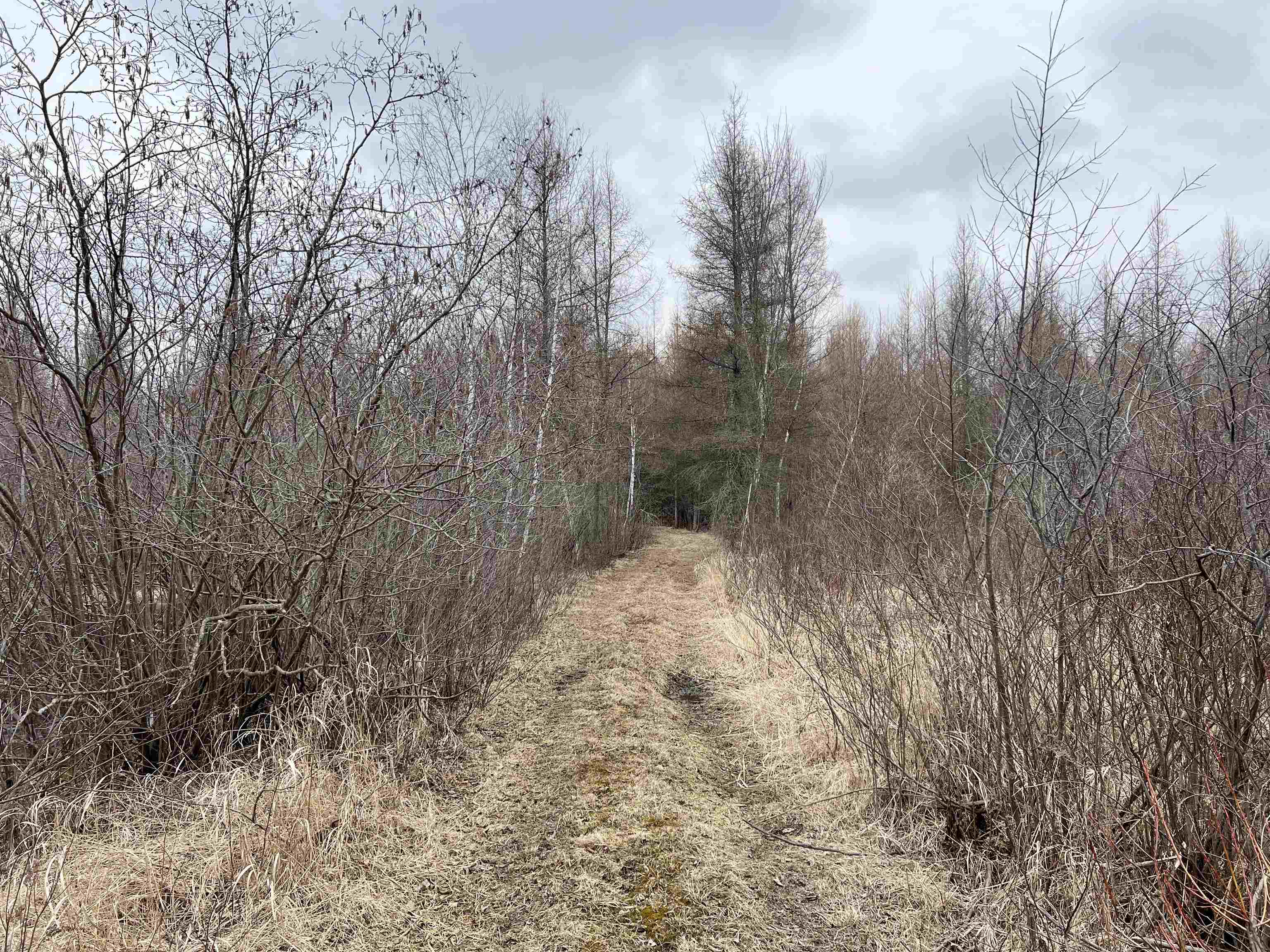 00 COUNTY ROAD J, Wausau, Wisconsin 54403, ,Land,For Sale,00 COUNTY ROAD J,22502255
