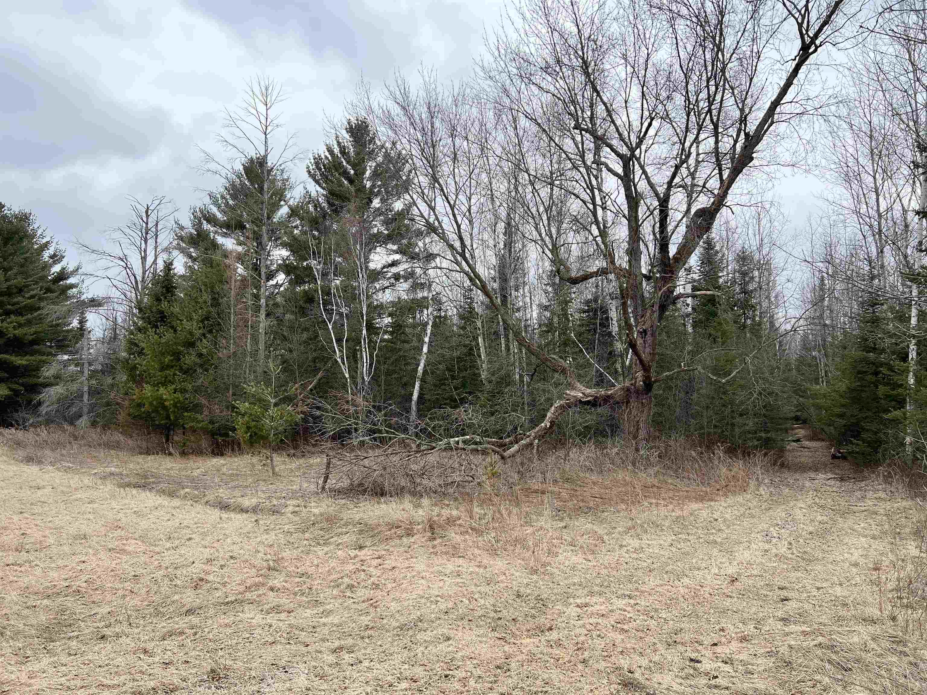 00 COUNTY ROAD J, Wausau, Wisconsin 54403, ,Land,For Sale,00 COUNTY ROAD J,22502255