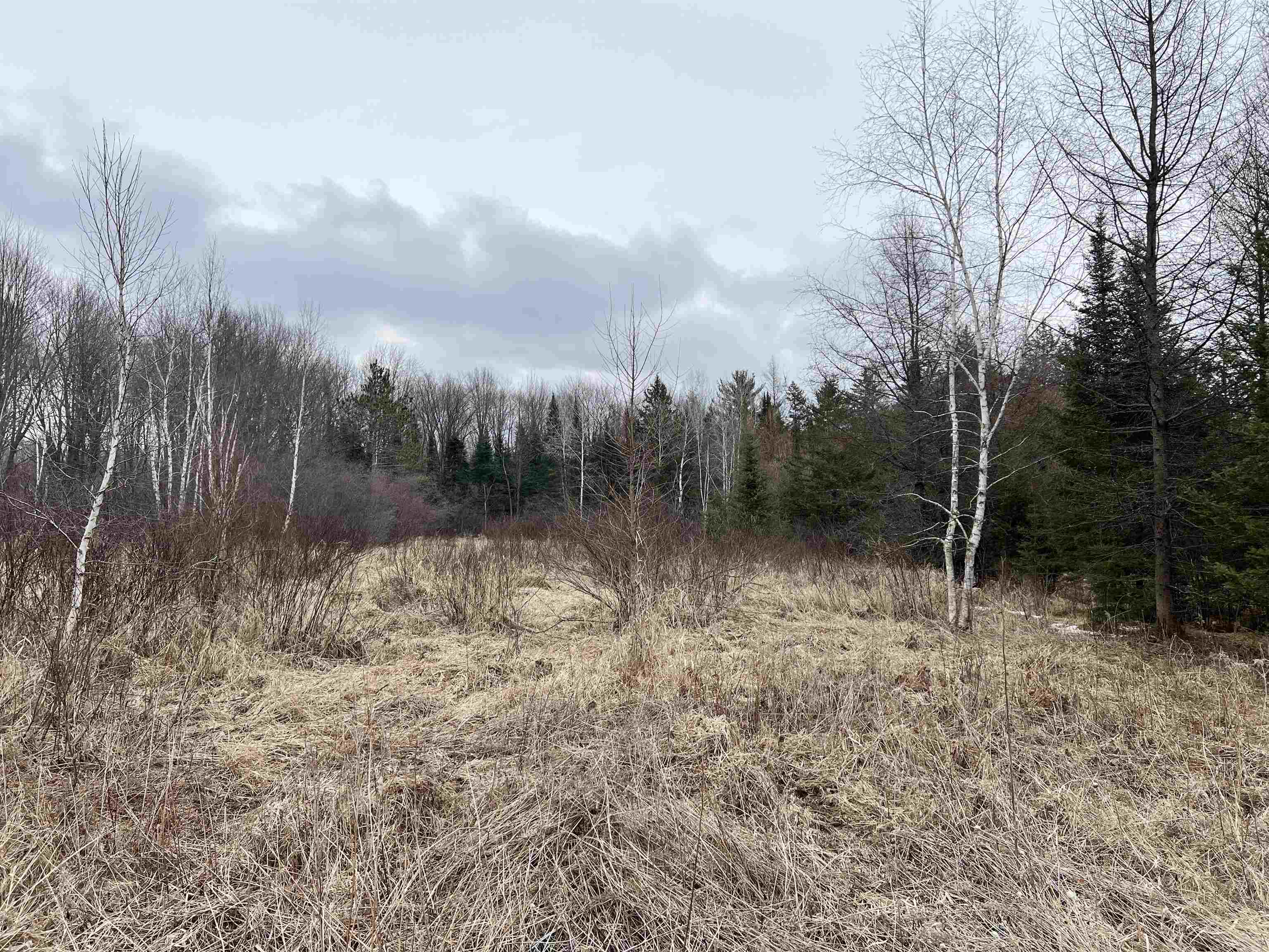 00 COUNTY ROAD J, Wausau, Wisconsin 54403, ,Land,For Sale,00 COUNTY ROAD J,22502255