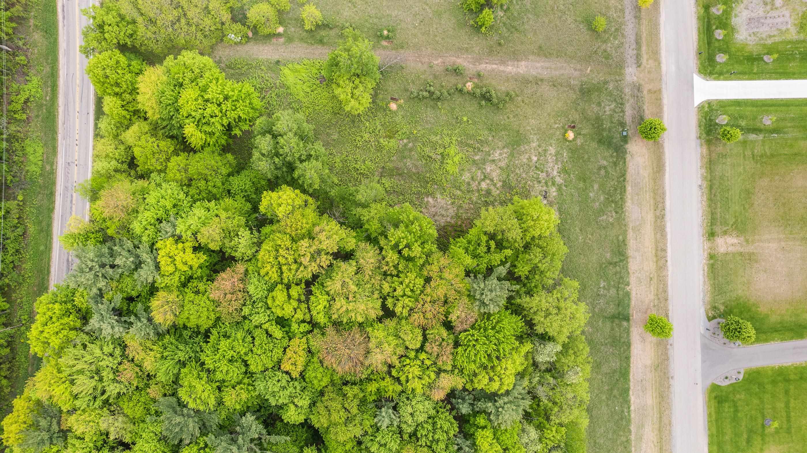 2110 PENINSULA PLACE, Junction City, Wisconsin 54443, ,Land,For Sale,2110 PENINSULA PLACE,22502256