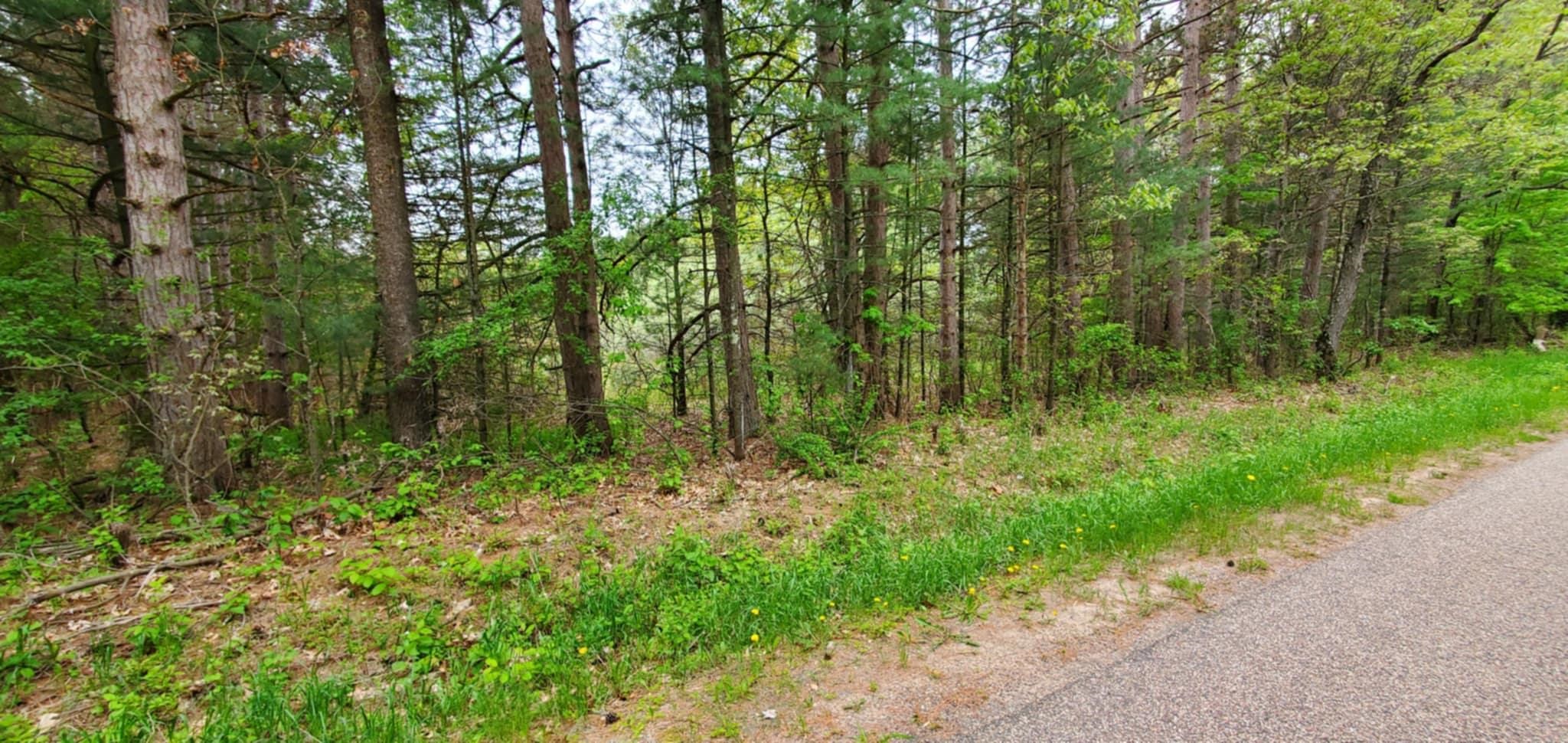 7.55 Acres 2ND AVENUE, Almond, Wisconsin 54909, ,Land,For Sale,7.55 Acres 2ND AVENUE,22502265