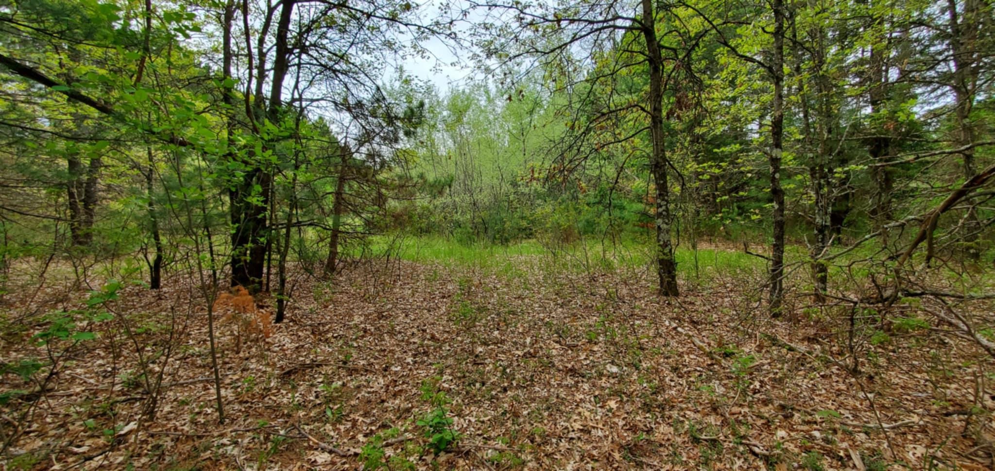 7.55 Acres 2ND AVENUE, Almond, Wisconsin 54909, ,Land,For Sale,7.55 Acres 2ND AVENUE,22502265