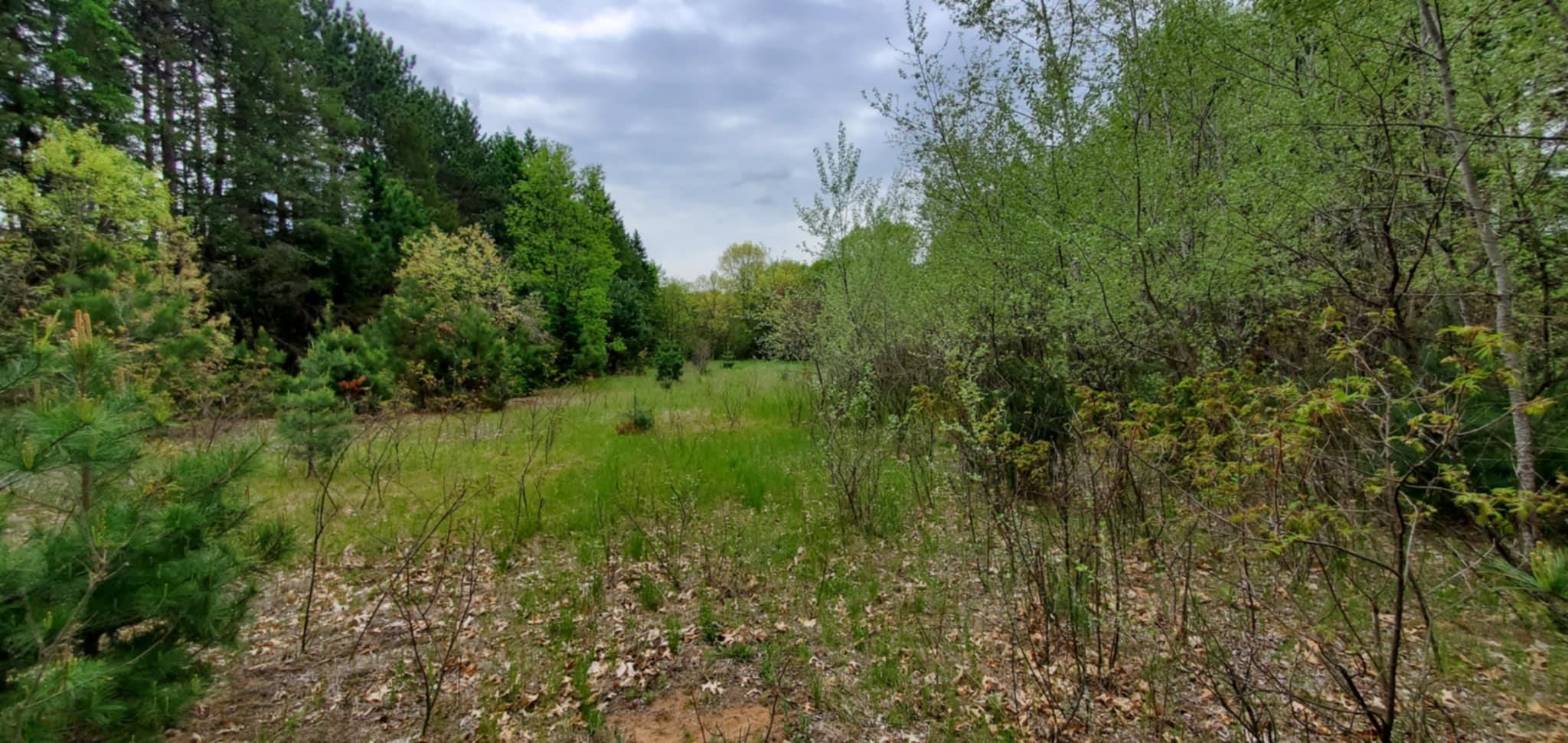 7.55 Acres 2ND AVENUE, Almond, Wisconsin 54909, ,Land,For Sale,7.55 Acres 2ND AVENUE,22502265