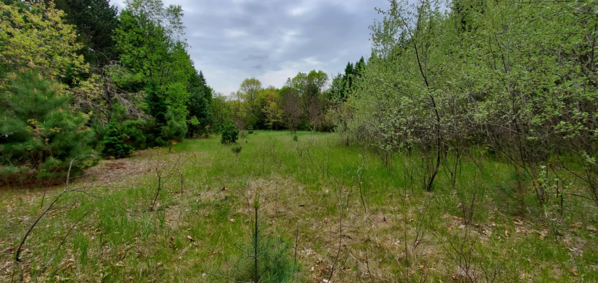 7.55 Acres 2ND AVENUE, Almond, Wisconsin 54909, ,Land,For Sale,7.55 Acres 2ND AVENUE,22502265