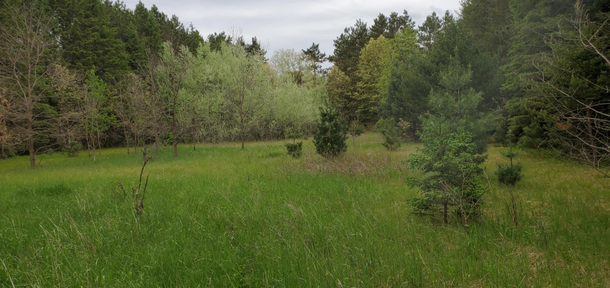 7.55 Acres 2ND AVENUE, Almond, Wisconsin 54909, ,Land,For Sale,7.55 Acres 2ND AVENUE,22502265