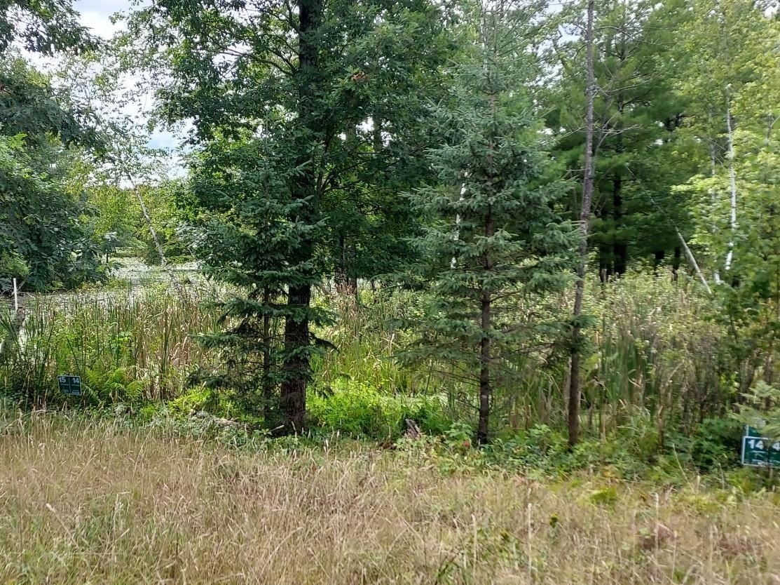 Lot 14 WOOD DUCK TRAIL, SARATOGA, Wisconsin 54457, ,Land,For Sale,Lot 14 WOOD DUCK TRAIL,22502297
