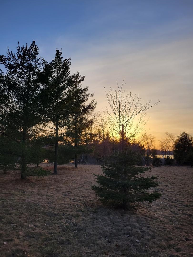 Lot 14 WOOD DUCK TRAIL, SARATOGA, Wisconsin 54457, ,Land,For Sale,Lot 14 WOOD DUCK TRAIL,22502297