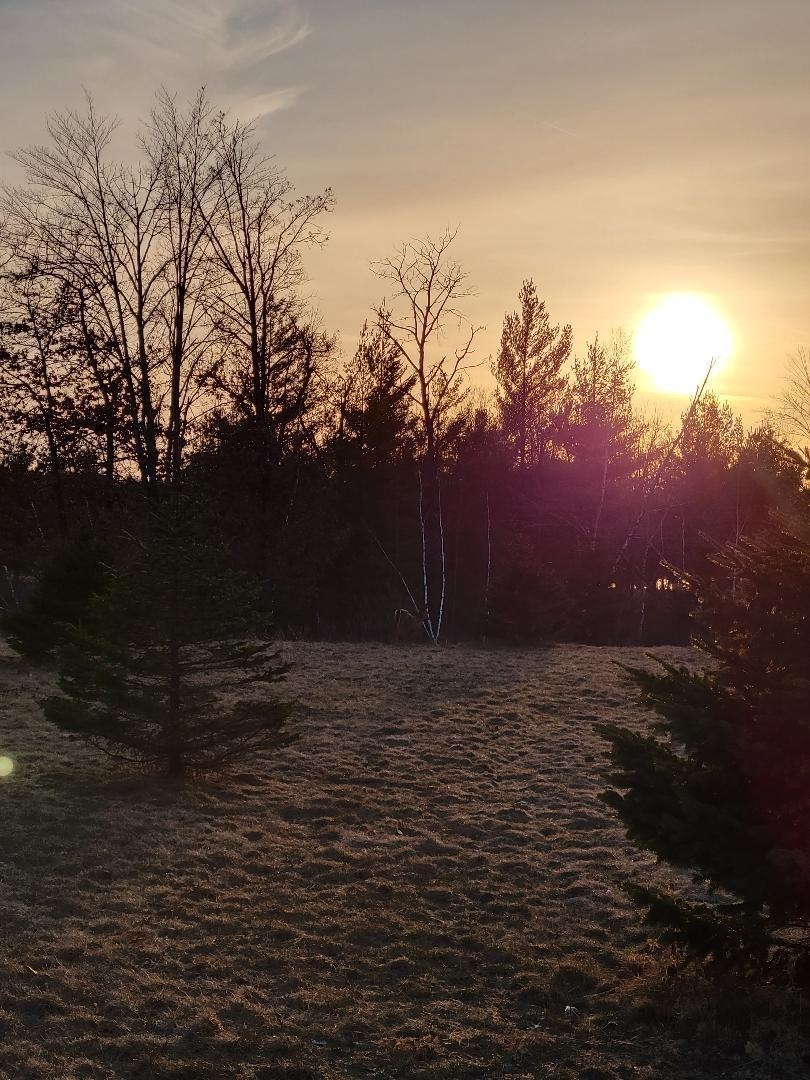 Lot 14 WOOD DUCK TRAIL, SARATOGA, Wisconsin 54457, ,Land,For Sale,Lot 14 WOOD DUCK TRAIL,22502297