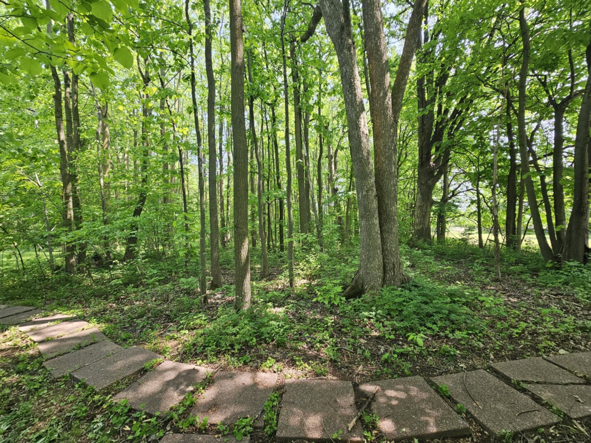 6027 PARADISE LANE, Auburndale, Wisconsin 54412, 3 Bedrooms Bedrooms, ,2 BathroomsBathrooms,Residential,For Sale,6027 PARADISE LANE,22502347