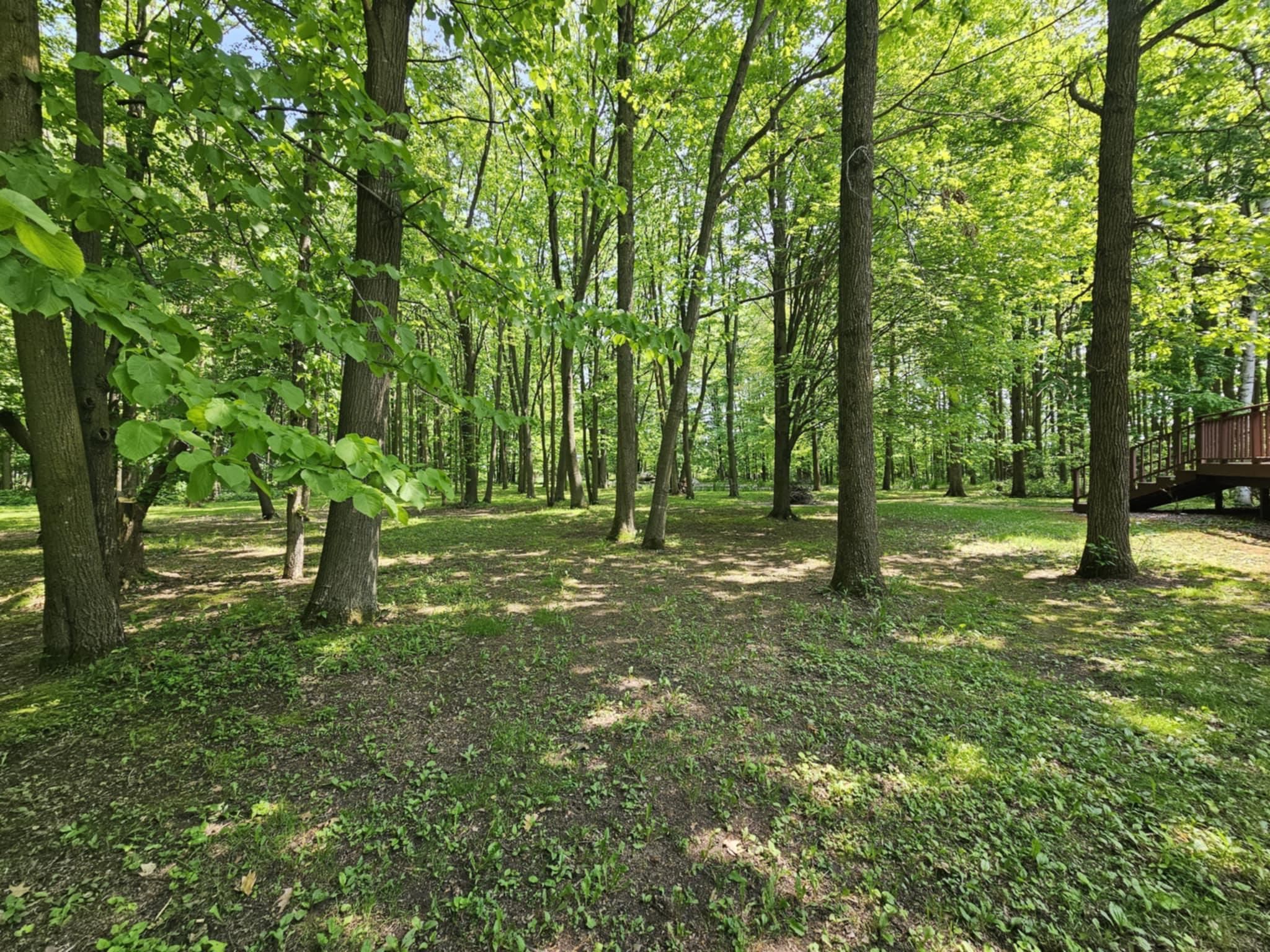 6027 PARADISE LANE, Auburndale, Wisconsin 54412, 3 Bedrooms Bedrooms, ,2 BathroomsBathrooms,Residential,For Sale,6027 PARADISE LANE,22502347