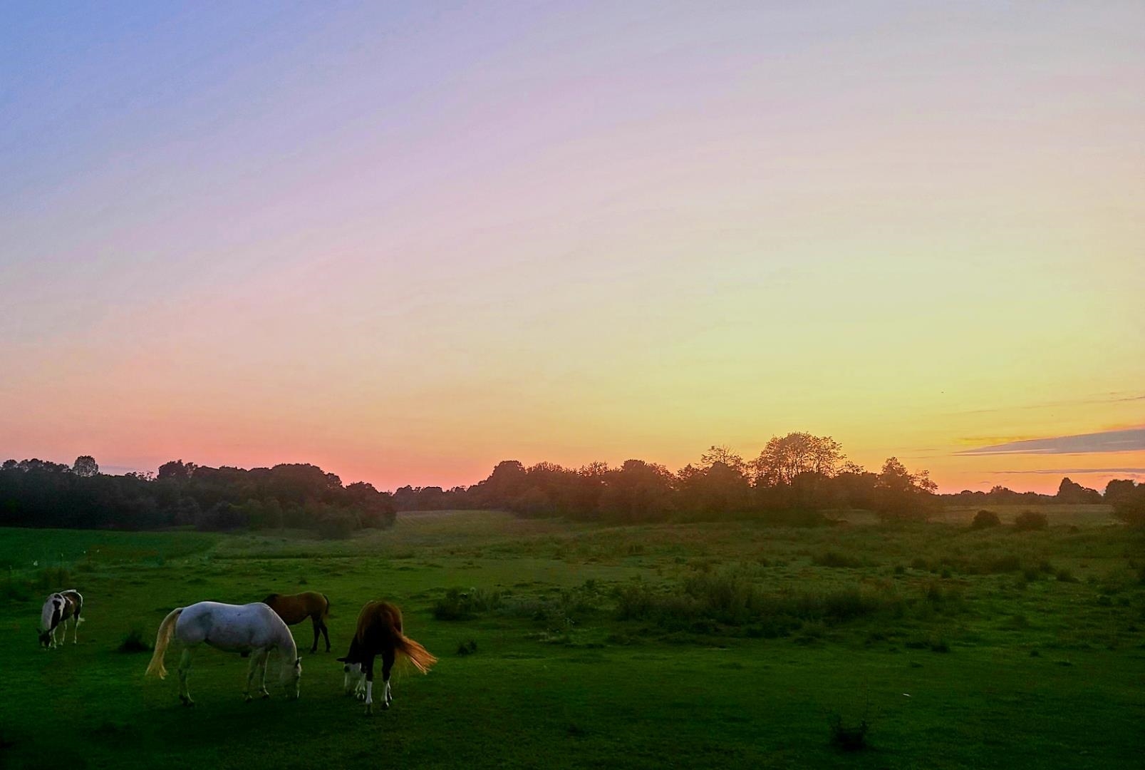 1982 N Crestwood Road