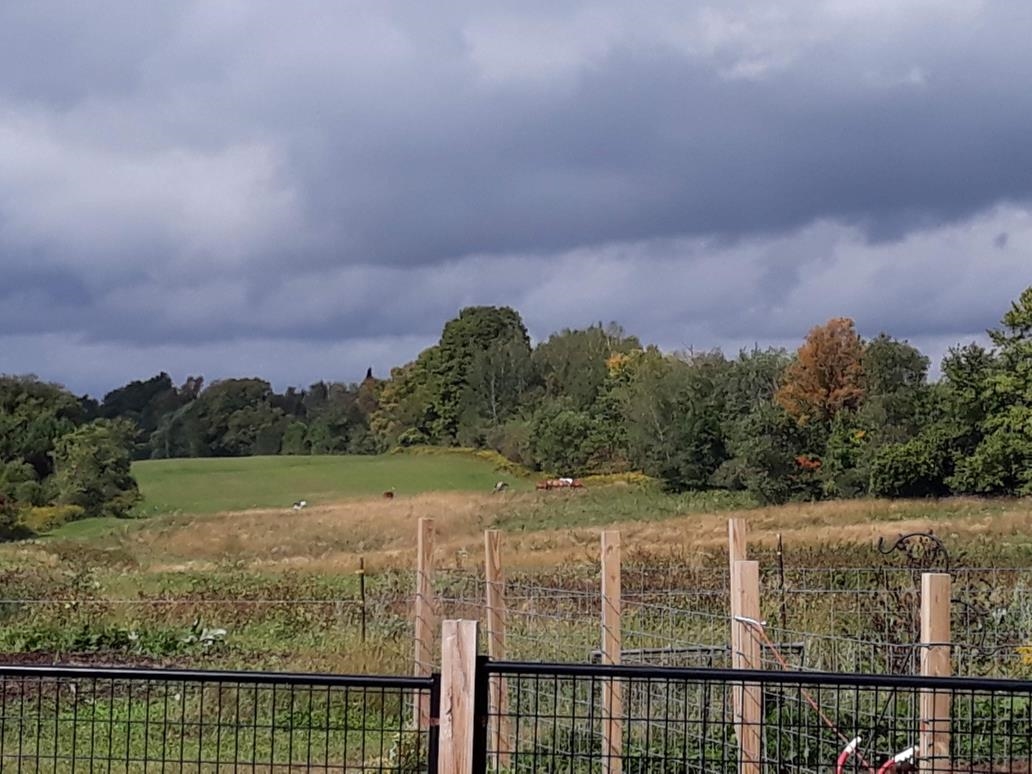 1982 N Crestwood Road