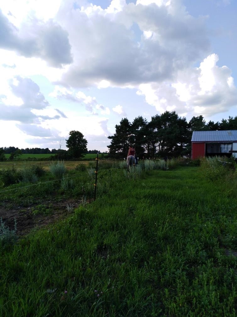 1982 N Crestwood Road