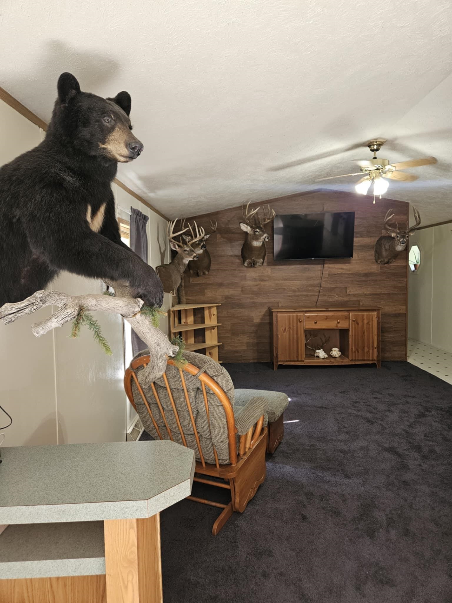 W967 CAMPFIRE ROAD, Granton, Wisconsin 54436, 3 Bedrooms Bedrooms, ,2 BathroomsBathrooms,Residential,For Sale,W967 CAMPFIRE ROAD,22502365