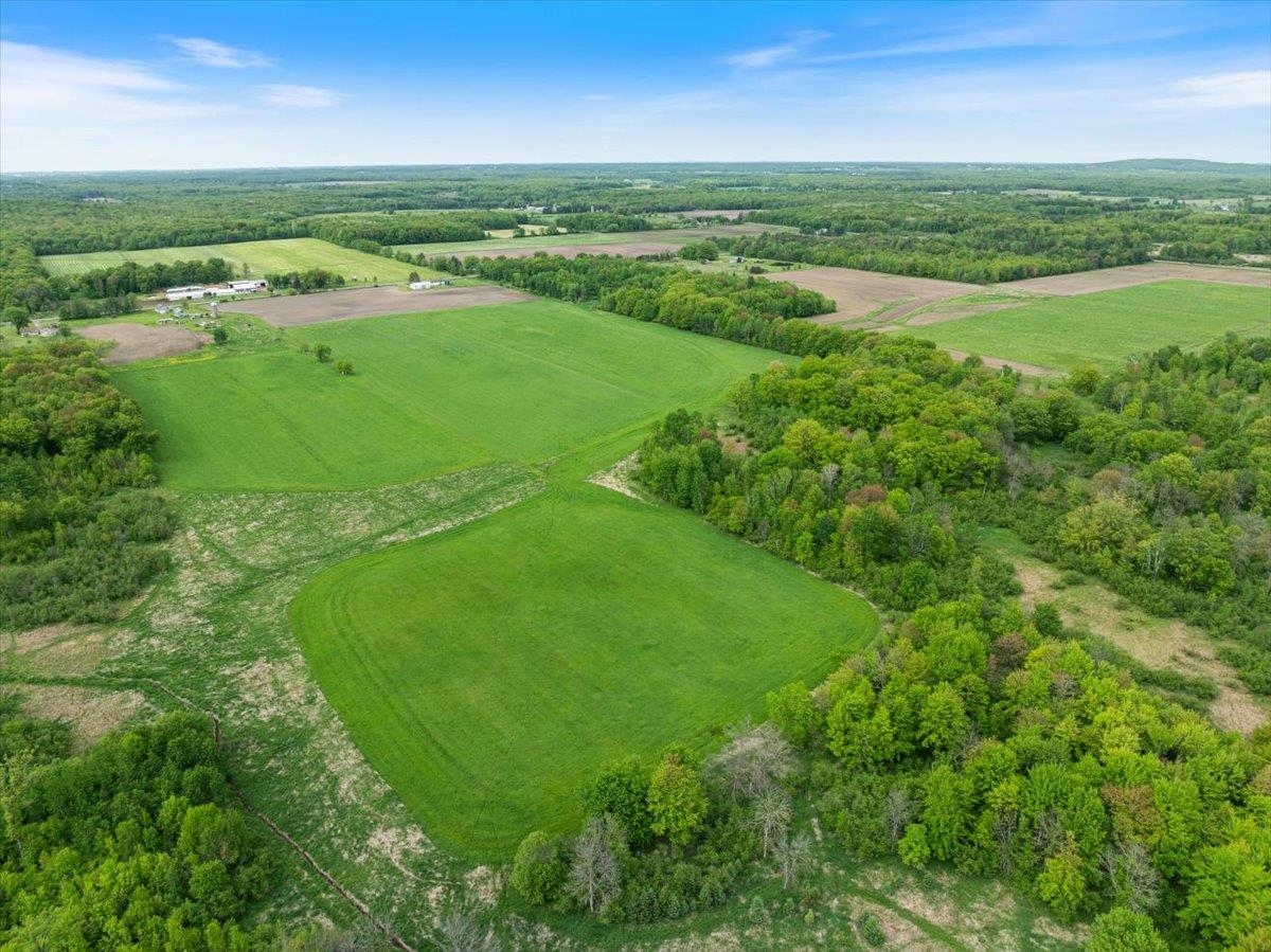 68.6 COUNTY ROAD CC, Pittsville, Wisconsin 54466, ,Land,For Sale,68.6 COUNTY ROAD CC,22502367