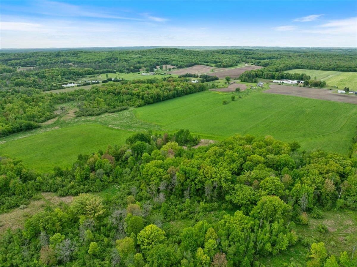 68.6 COUNTY ROAD CC, Pittsville, Wisconsin 54466, ,Land,For Sale,68.6 COUNTY ROAD CC,22502367
