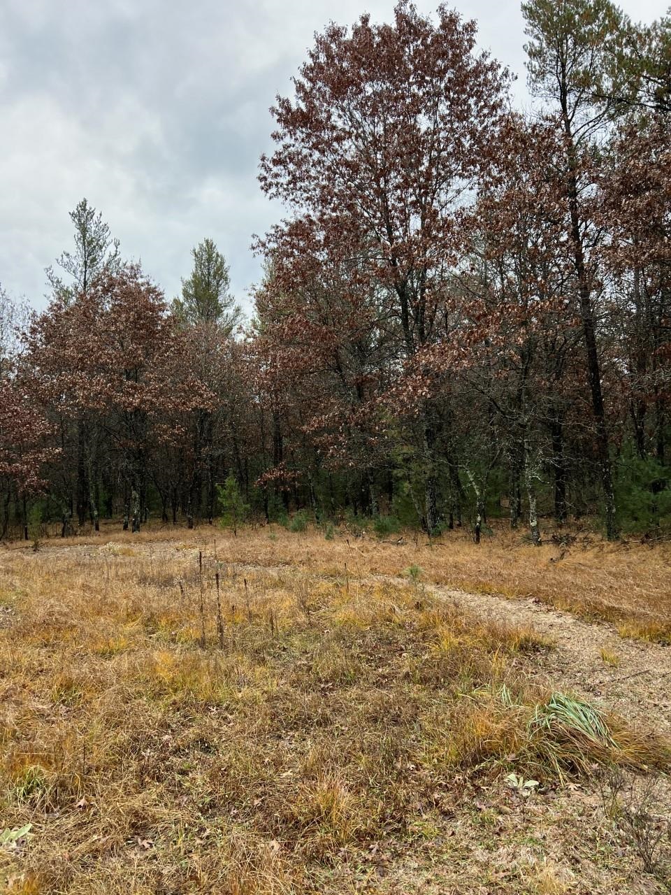 000 64TH STREET SOUTH, Wisconsin Rapids, Wisconsin 54494, ,Land,For Sale,000 64TH STREET SOUTH,22502373