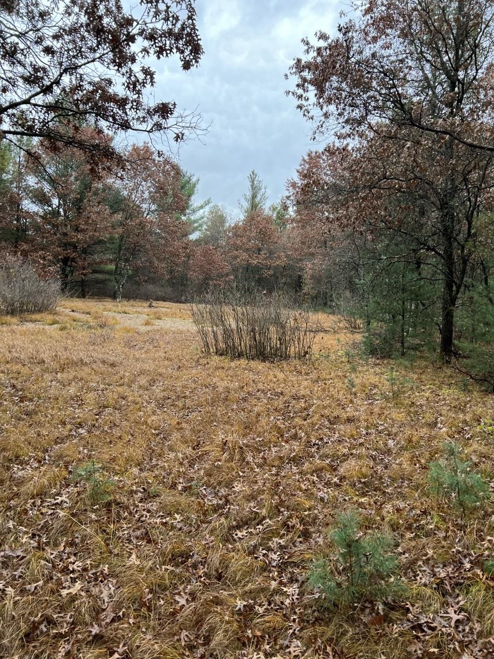 000 64TH STREET SOUTH, Wisconsin Rapids, Wisconsin 54494, ,Land,For Sale,000 64TH STREET SOUTH,22502373