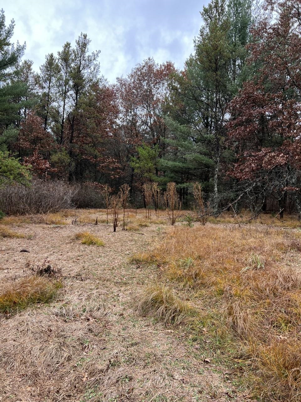 000 64TH STREET SOUTH, Wisconsin Rapids, Wisconsin 54494, ,Land,For Sale,000 64TH STREET SOUTH,22502373