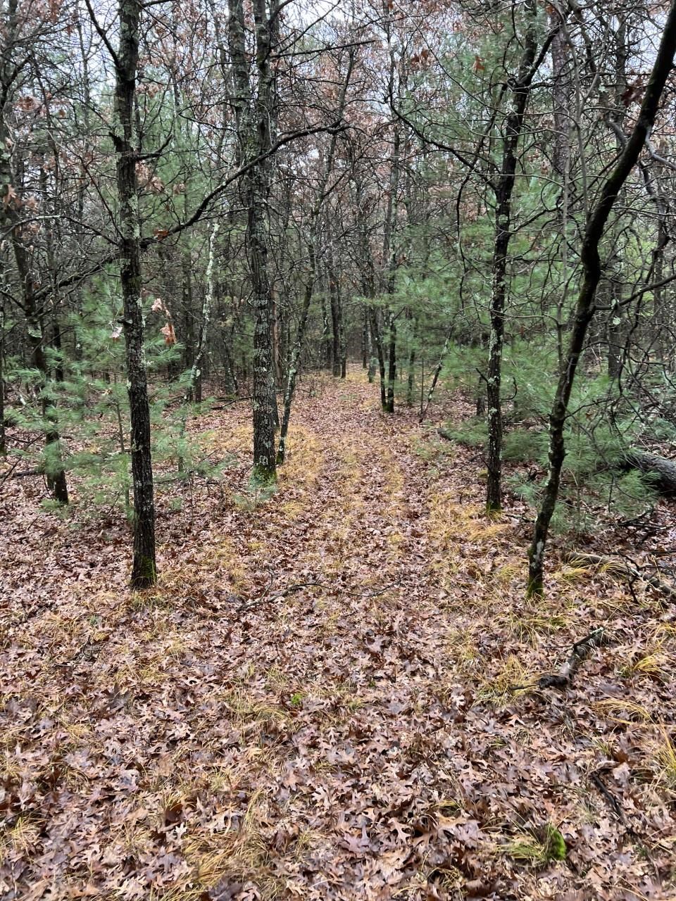 000 64TH STREET SOUTH, Wisconsin Rapids, Wisconsin 54494, ,Land,For Sale,000 64TH STREET SOUTH,22502373