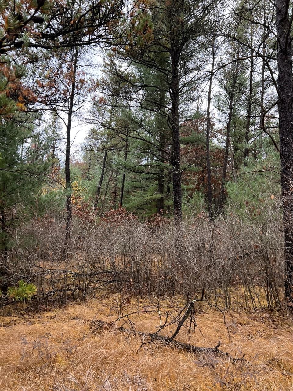 000 64TH STREET SOUTH, Wisconsin Rapids, Wisconsin 54494, ,Land,For Sale,000 64TH STREET SOUTH,22502373
