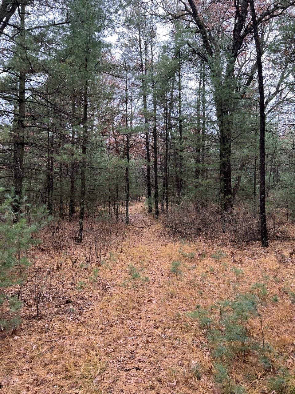 000 64TH STREET SOUTH, Wisconsin Rapids, Wisconsin 54494, ,Land,For Sale,000 64TH STREET SOUTH,22502373
