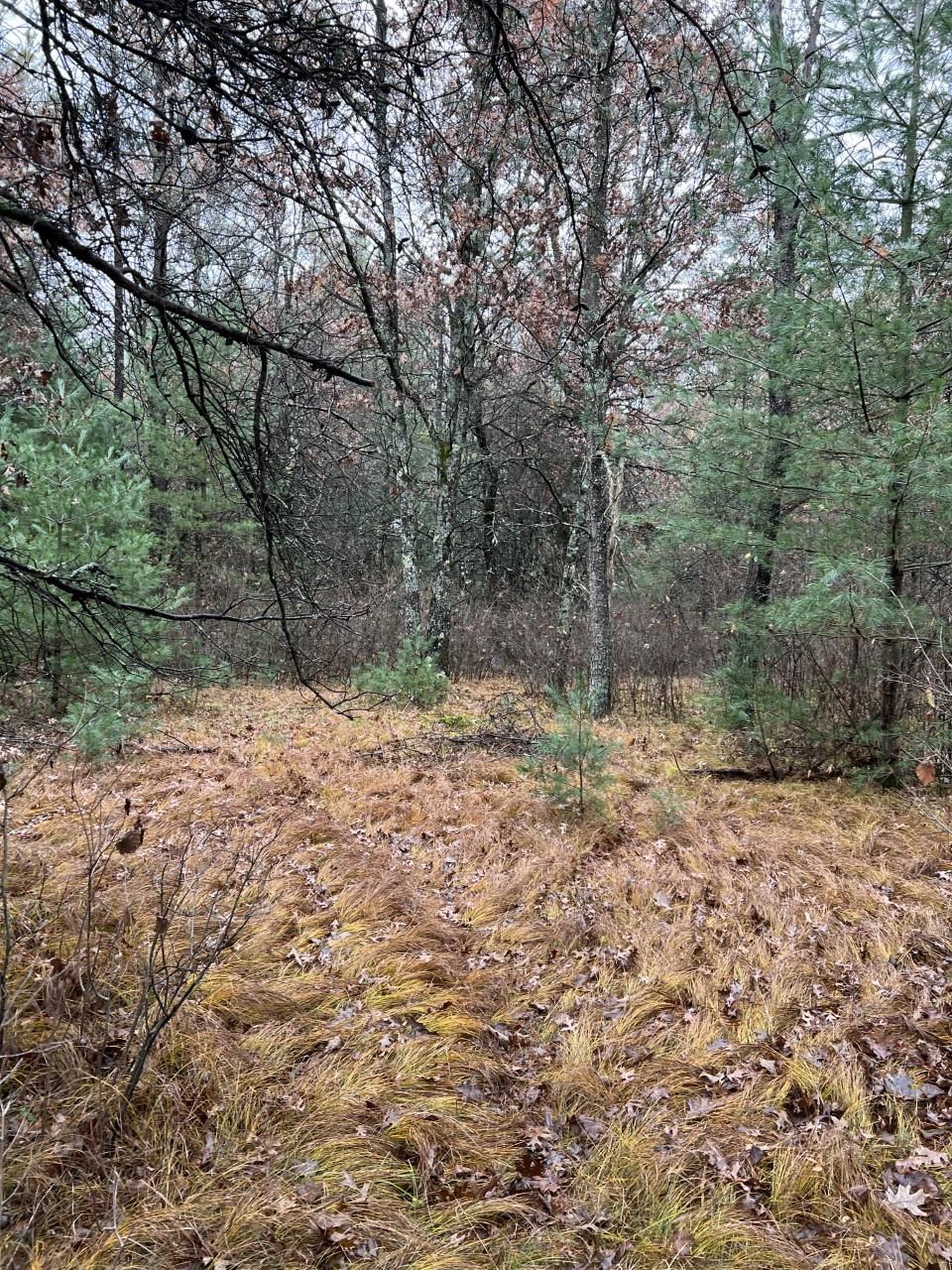 000 64TH STREET SOUTH, Wisconsin Rapids, Wisconsin 54494, ,Land,For Sale,000 64TH STREET SOUTH,22502373