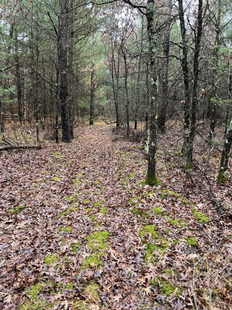 000 64TH STREET SOUTH, Wisconsin Rapids, Wisconsin 54494, ,Land,For Sale,000 64TH STREET SOUTH,22502373