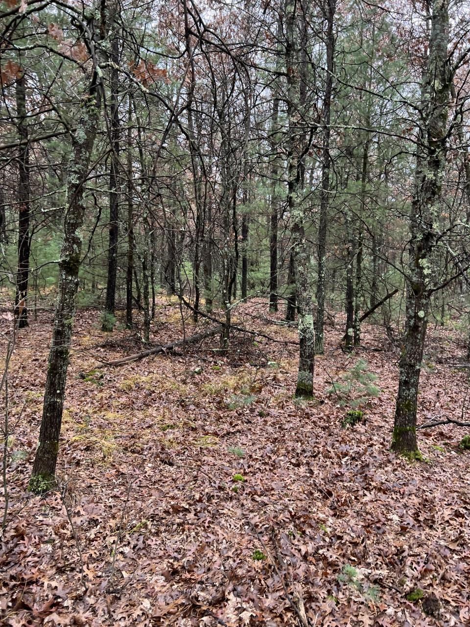 000 64TH STREET SOUTH, Wisconsin Rapids, Wisconsin 54494, ,Land,For Sale,000 64TH STREET SOUTH,22502373