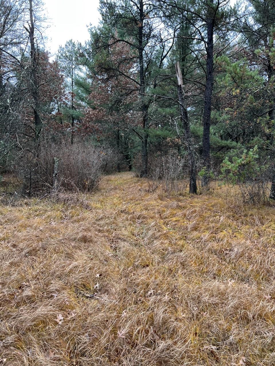 000 64TH STREET SOUTH, Wisconsin Rapids, Wisconsin 54494, ,Land,For Sale,000 64TH STREET SOUTH,22502373