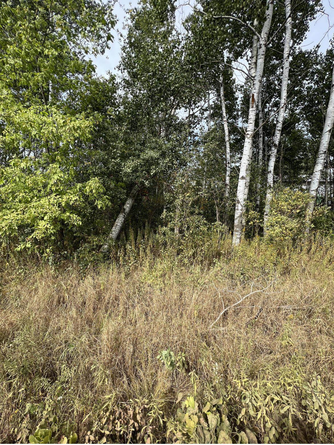 Lot One KRAUS STREET, Marshfield, Wisconsin 54449, ,Land,For Sale,Lot One KRAUS STREET,22502417