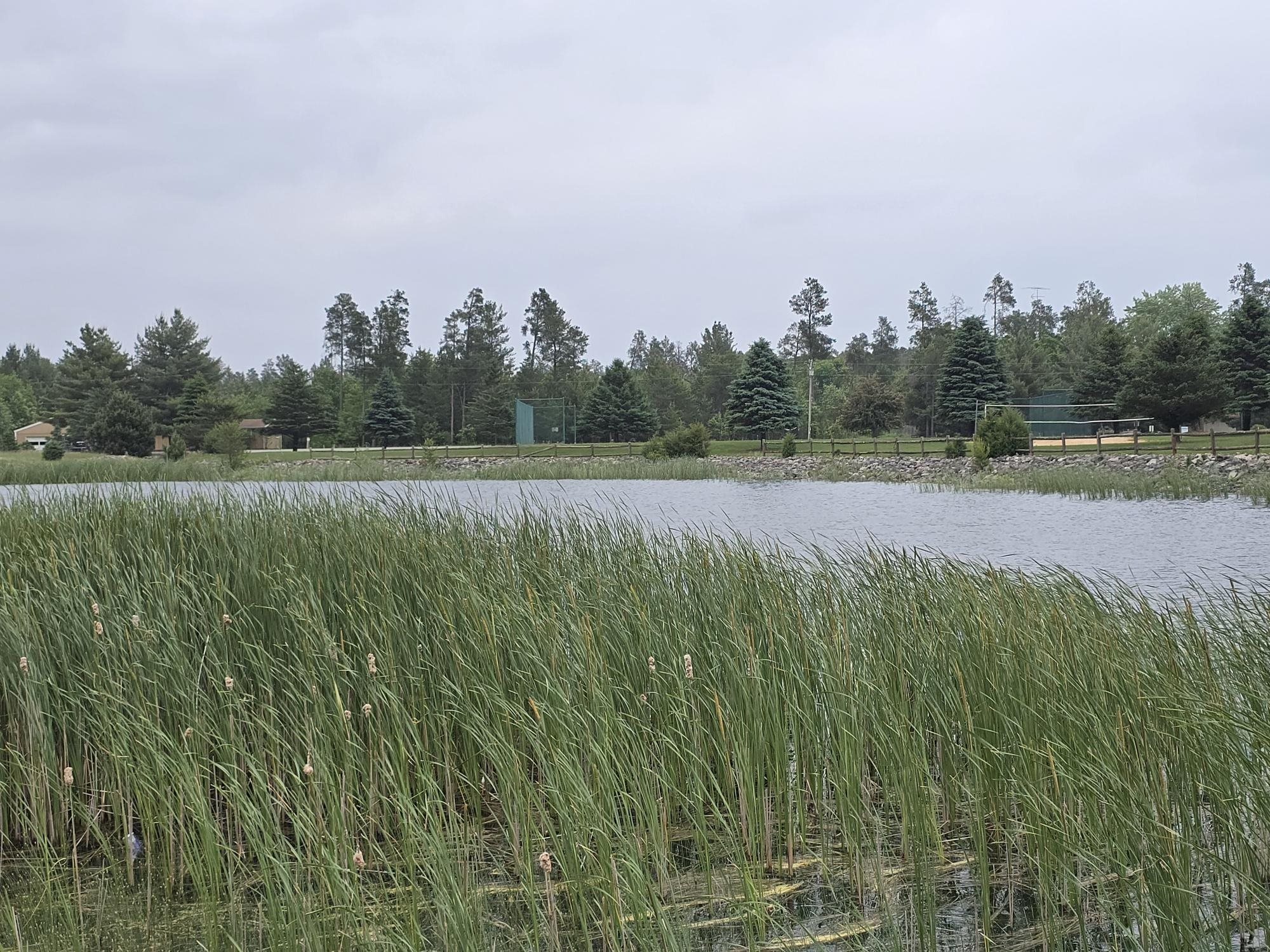 W5741 WATERSTONE LANE, New Lisbon, Wisconsin 53950, ,Land,For Sale,W5741 WATERSTONE LANE,22502532