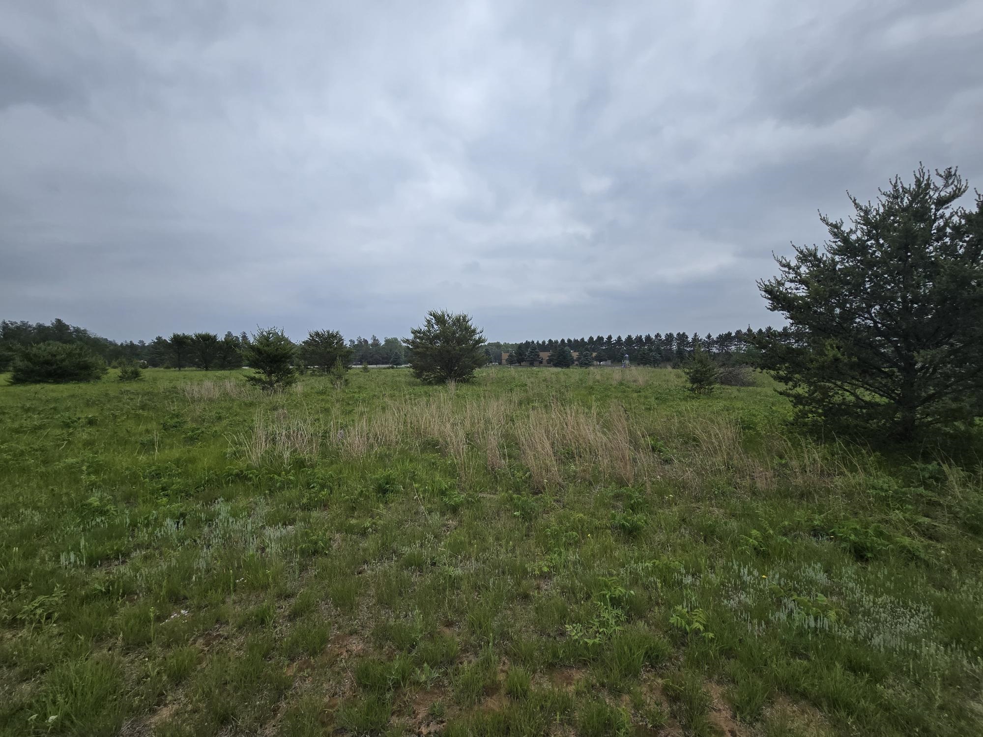 W5741 WATERSTONE LANE, New Lisbon, Wisconsin 53950, ,Land,For Sale,W5741 WATERSTONE LANE,22502532