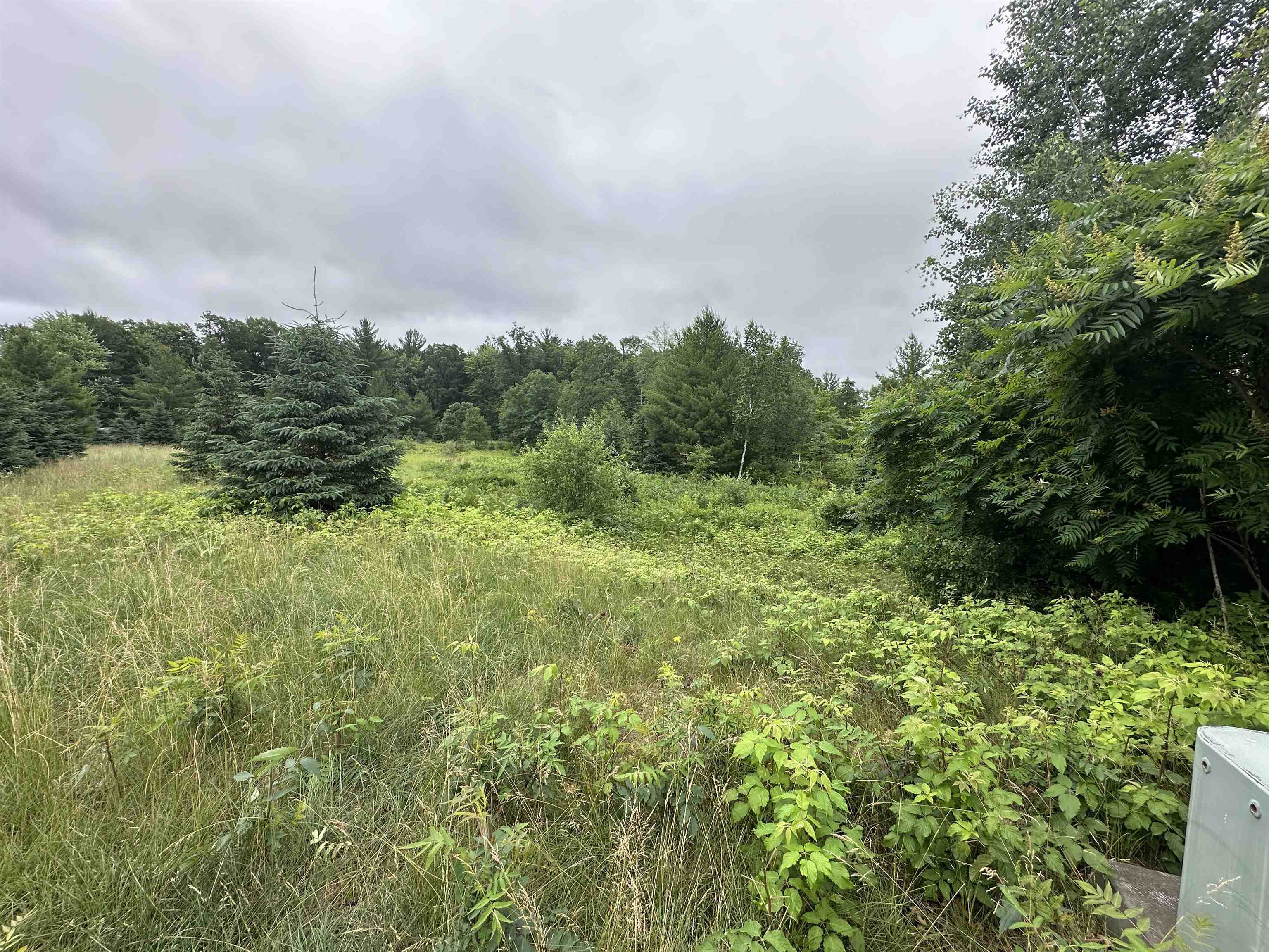 LOT 41 POINT TRAIL, Wisconsin Rapids, Wisconsin 54494, ,Land,For Sale,LOT 41 POINT TRAIL,22502901