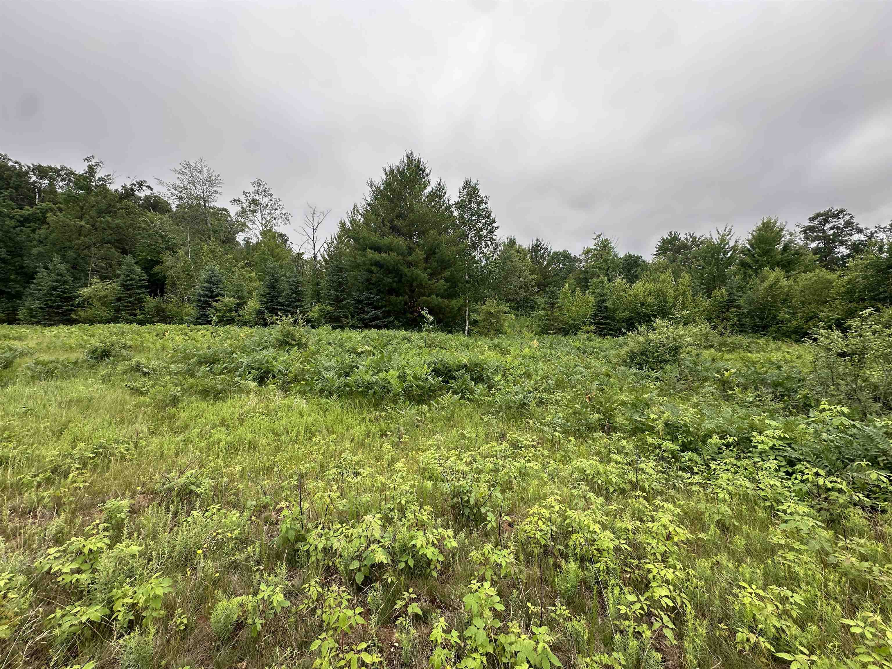 LOT 41 POINT TRAIL, Wisconsin Rapids, Wisconsin 54494, ,Land,For Sale,LOT 41 POINT TRAIL,22502901