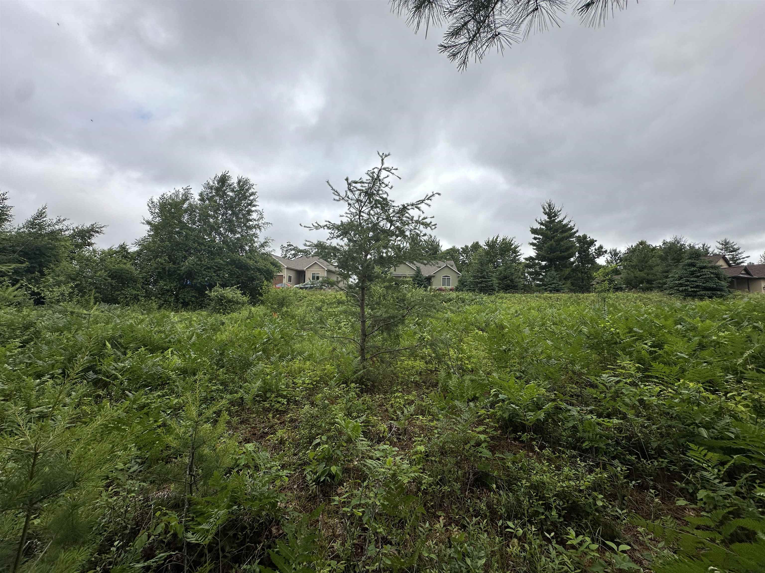 LOT 41 POINT TRAIL, Wisconsin Rapids, Wisconsin 54494, ,Land,For Sale,LOT 41 POINT TRAIL,22502901