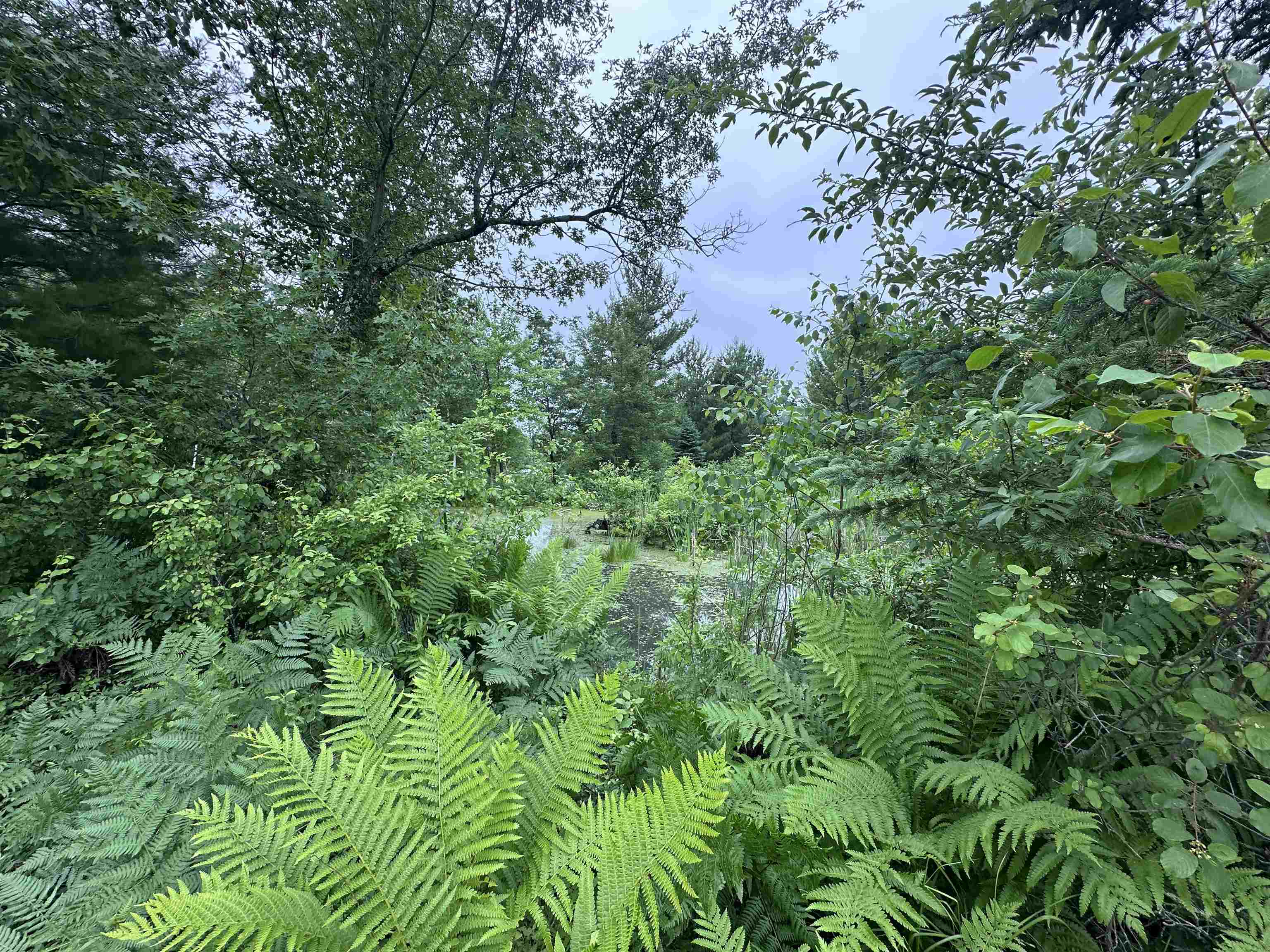 LOT 41 POINT TRAIL, Wisconsin Rapids, Wisconsin 54494, ,Land,For Sale,LOT 41 POINT TRAIL,22502901