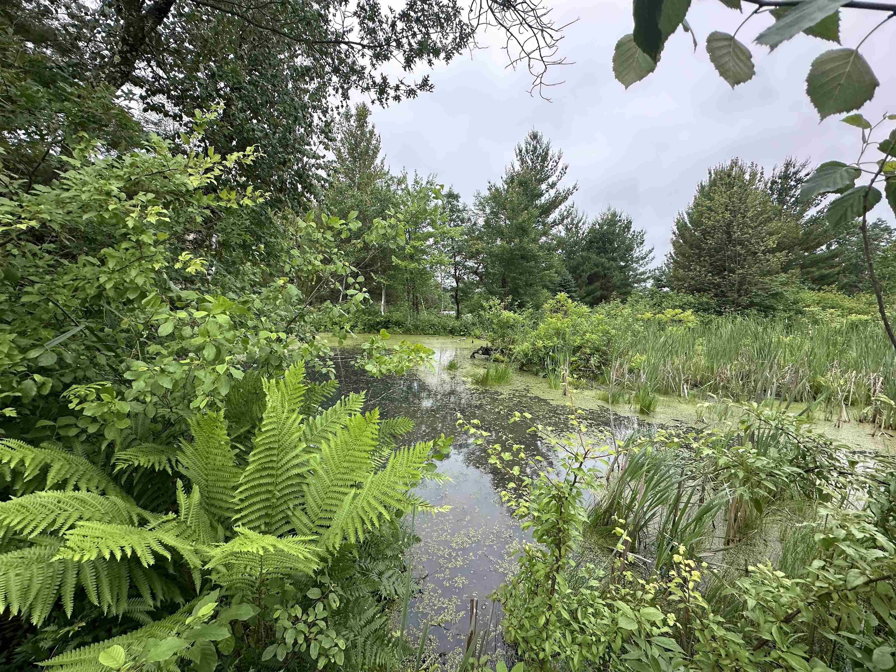 LOT 41 POINT TRAIL, Wisconsin Rapids, Wisconsin 54494, ,Land,For Sale,LOT 41 POINT TRAIL,22502901