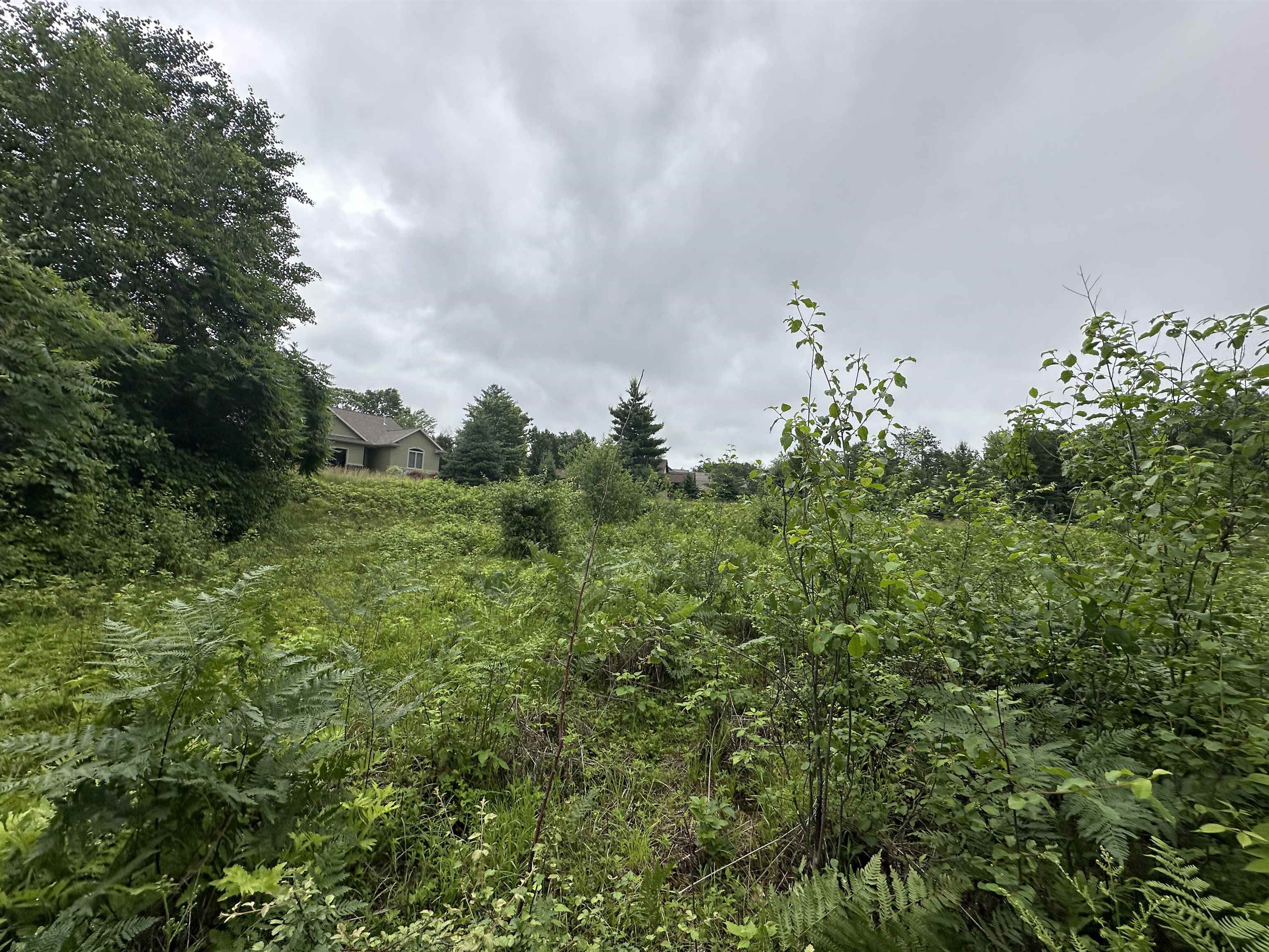 LOT 41 POINT TRAIL, Wisconsin Rapids, Wisconsin 54494, ,Land,For Sale,LOT 41 POINT TRAIL,22502901