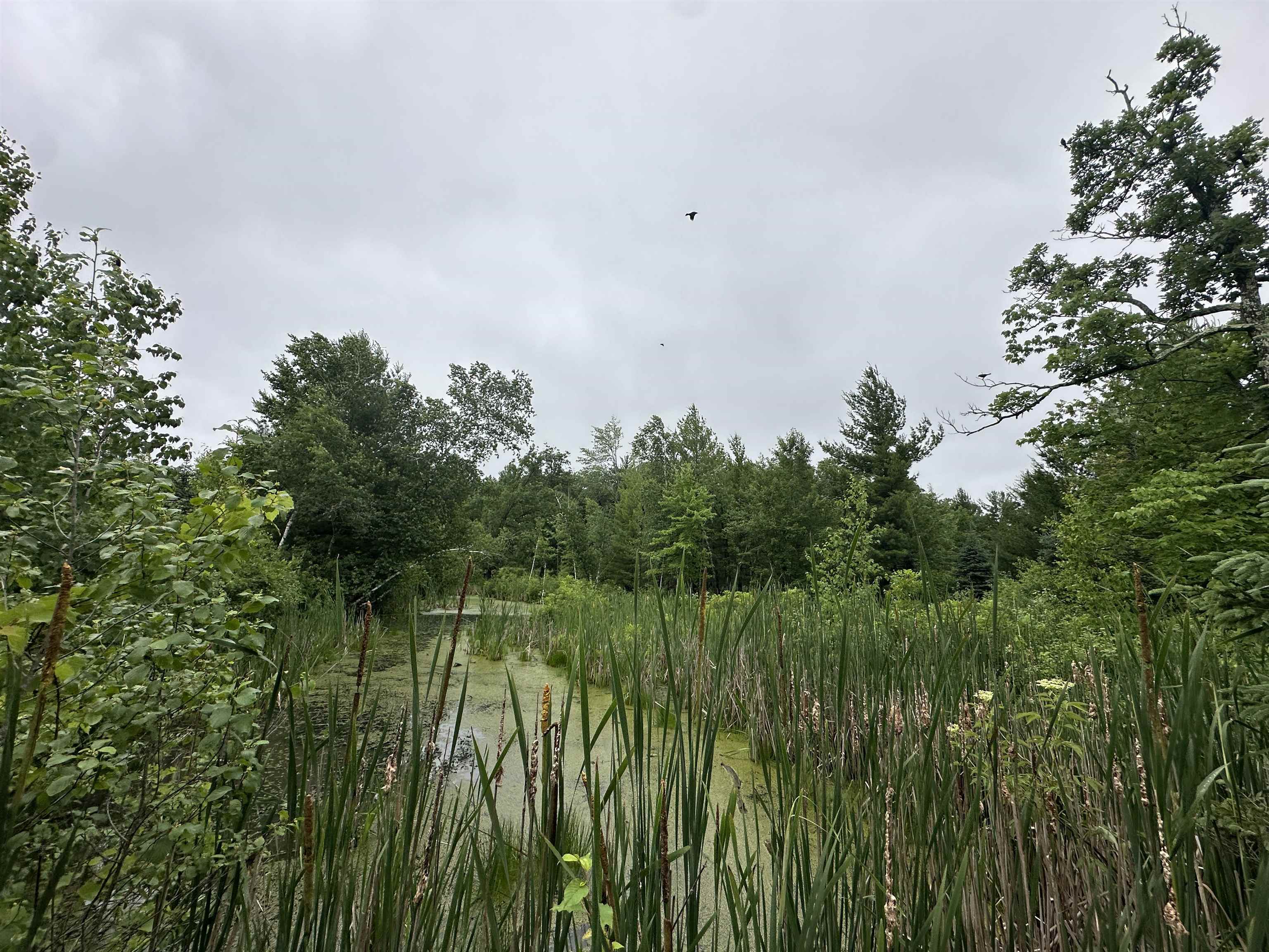 LOT 41 POINT TRAIL, Wisconsin Rapids, Wisconsin 54494, ,Land,For Sale,LOT 41 POINT TRAIL,22502901