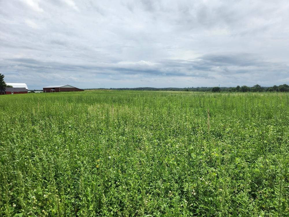 503 W NORTH ROAD, Cadott, Wisconsin 54727, ,Land,For Sale,503 W NORTH ROAD,22503027