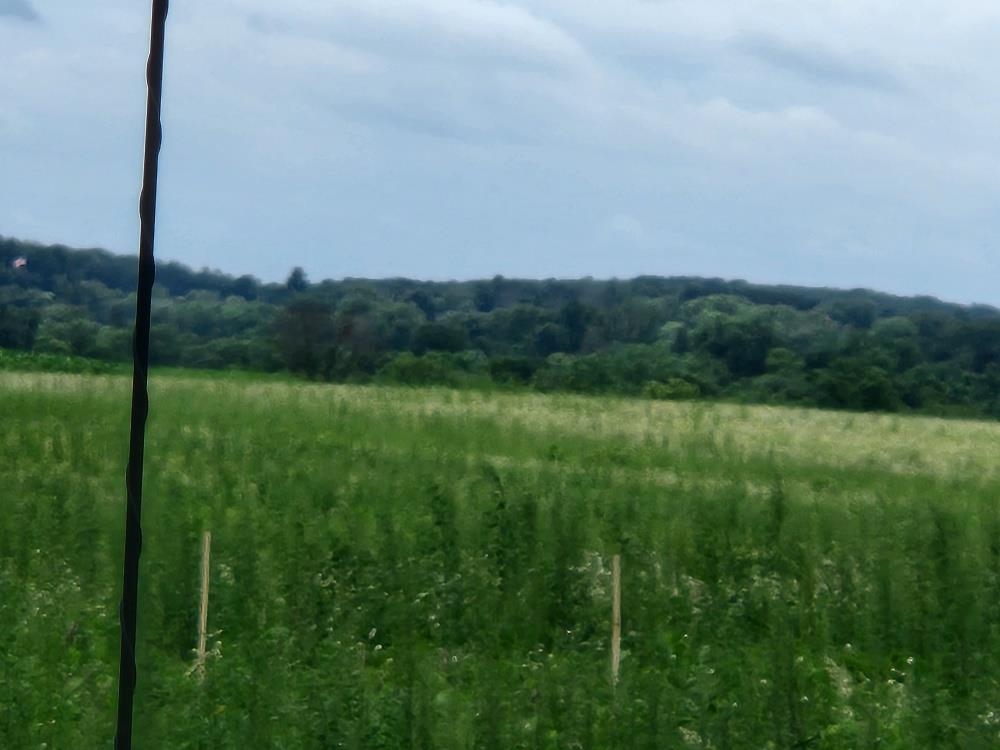 503 W NORTH ROAD, Cadott, Wisconsin 54727, ,Land,For Sale,503 W NORTH ROAD,22503027