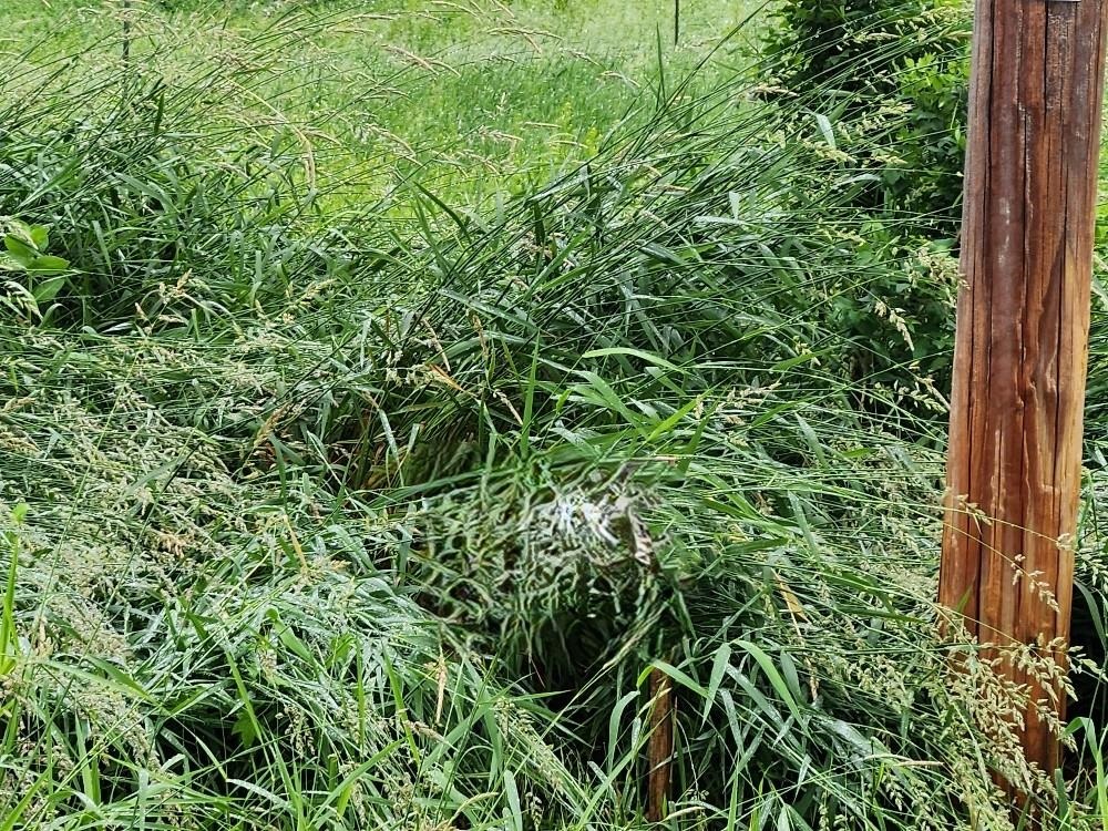 503 W NORTH ROAD, Cadott, Wisconsin 54727, ,Land,For Sale,503 W NORTH ROAD,22503027