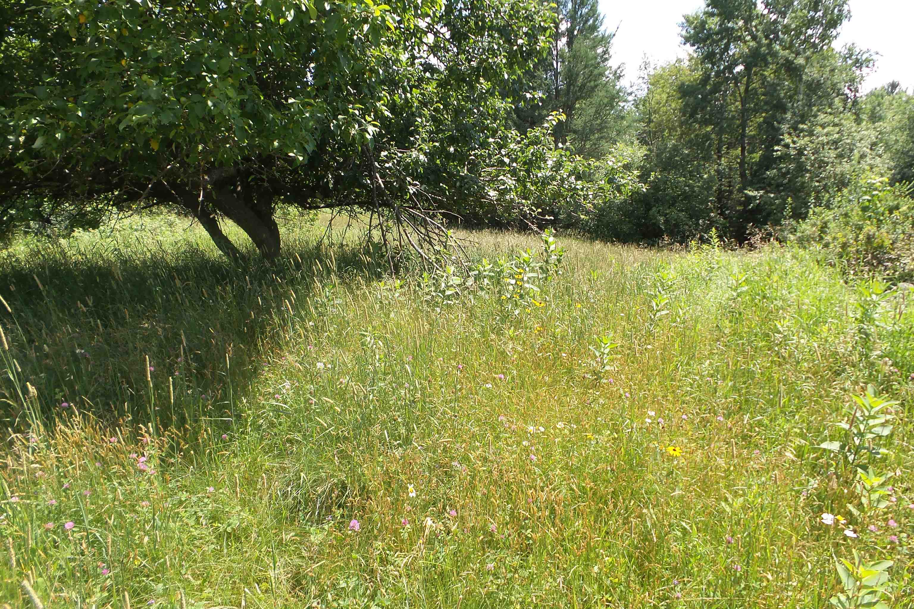 W4443 STATE HIGHWAY 102, Westboro, Wisconsin 54490, 3 Bedrooms Bedrooms, ,1 BathroomBathrooms,Residential,For Sale,W4443 STATE HIGHWAY 102,22503083