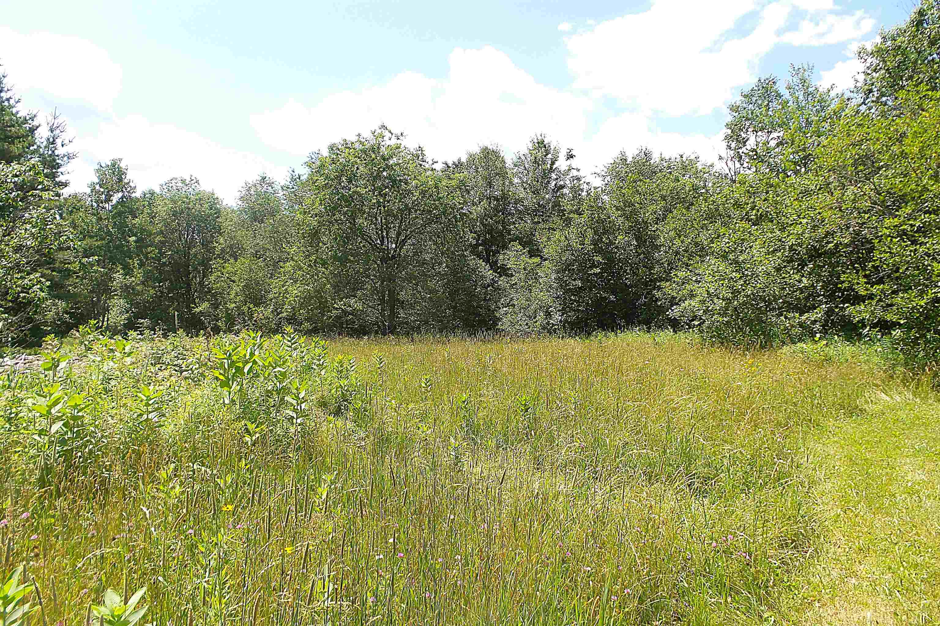 W4443 STATE HIGHWAY 102, Westboro, Wisconsin 54490, 3 Bedrooms Bedrooms, ,1 BathroomBathrooms,Residential,For Sale,W4443 STATE HIGHWAY 102,22503083