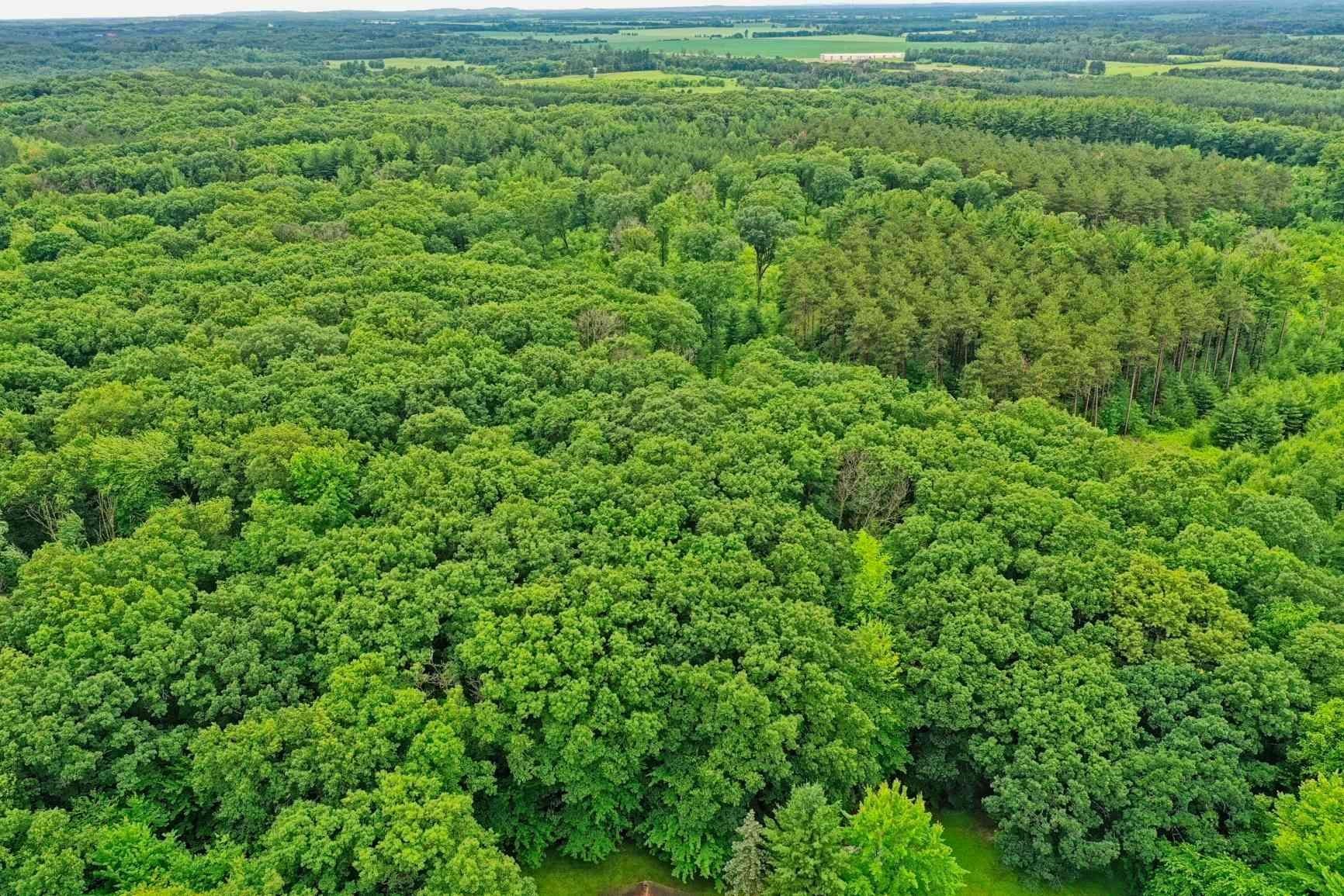 927 S OAKWOOD STREET, Hancock, Wisconsin 54943, 3 Bedrooms Bedrooms, ,1 BathroomBathrooms,Residential,For Sale,927 S OAKWOOD STREET,22503106