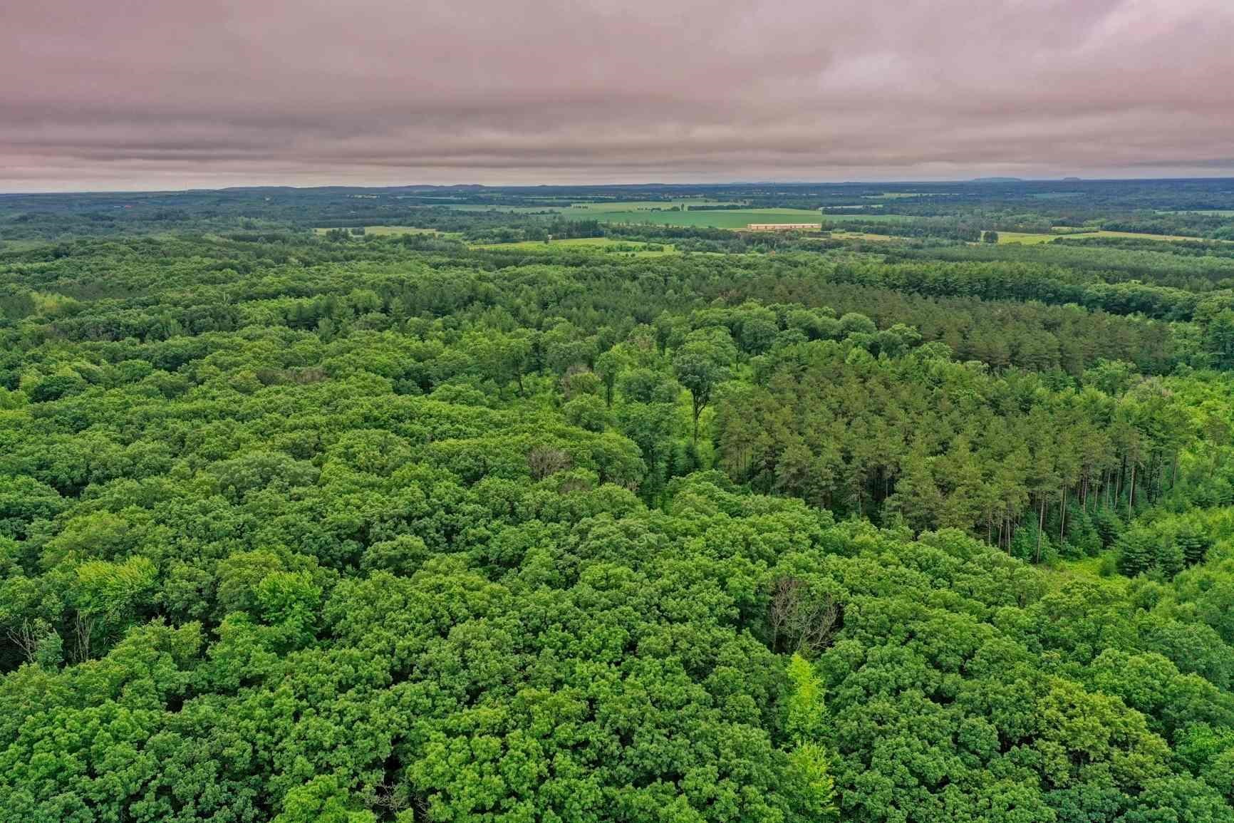 927 S OAKWOOD STREET, Hancock, Wisconsin 54943, 3 Bedrooms Bedrooms, ,1 BathroomBathrooms,Residential,For Sale,927 S OAKWOOD STREET,22503106