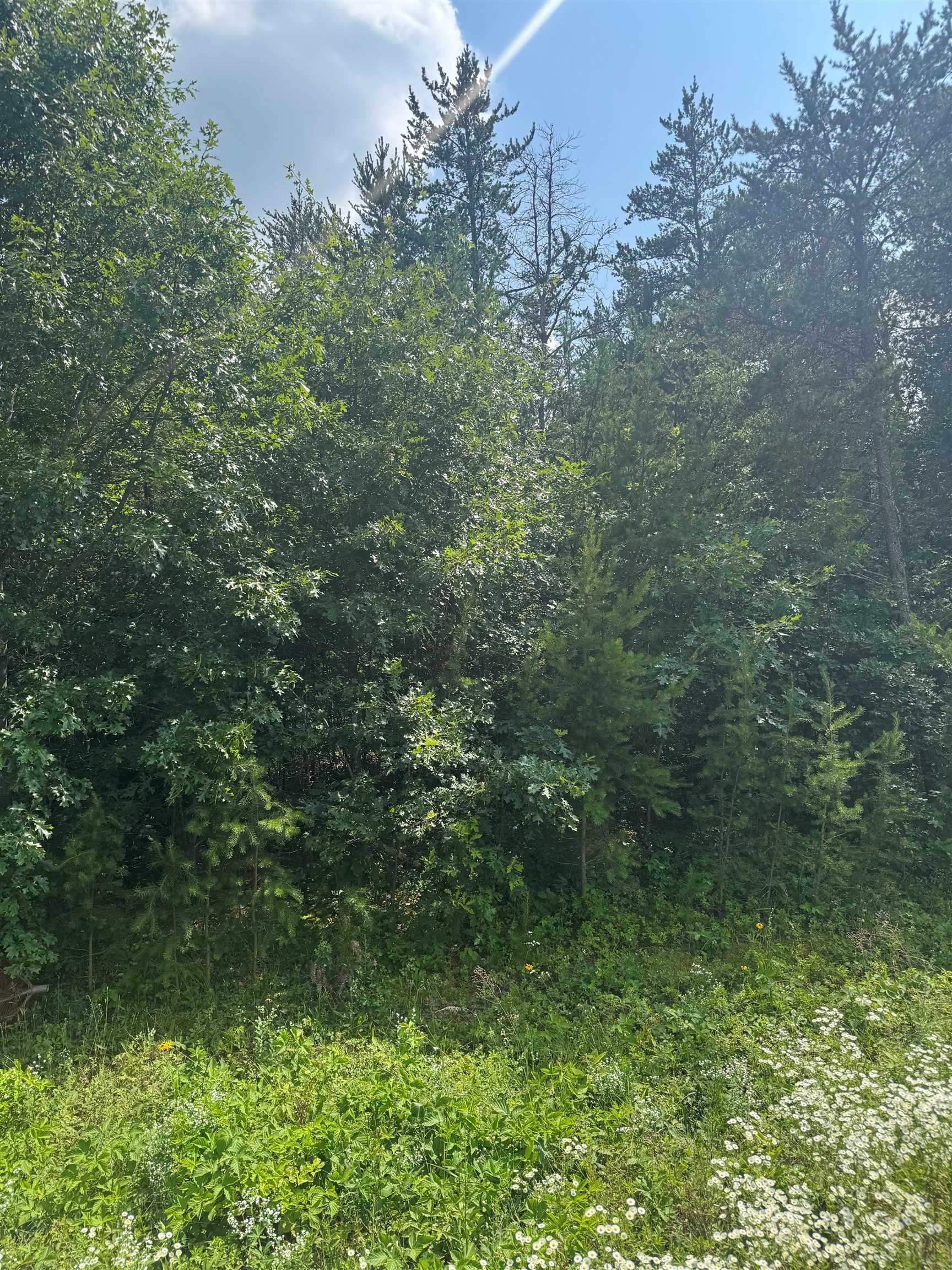 Lot 31 RED TAIL HAWK DRIVE, Stevens Point, Wisconsin 54482, ,Land,For Sale,Lot 31 RED TAIL HAWK DRIVE,22503205